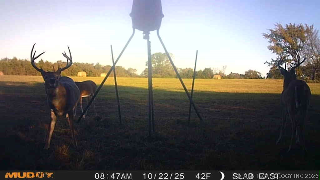 0001 Slab Road Property Photo 35