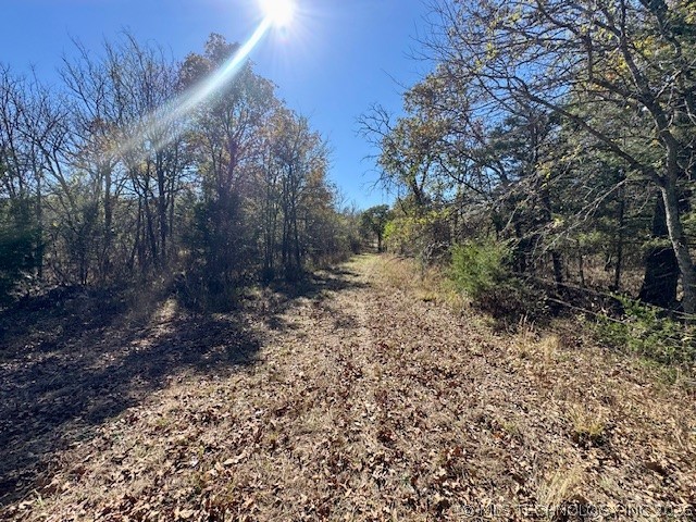 0002 Slab Road Property Photo 39