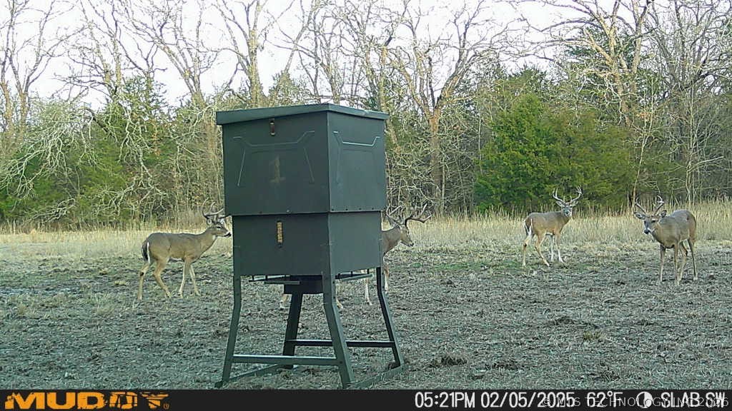 0002 Slab Road Property Photo 50