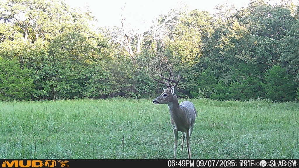 0002 Slab Road Property Photo 51