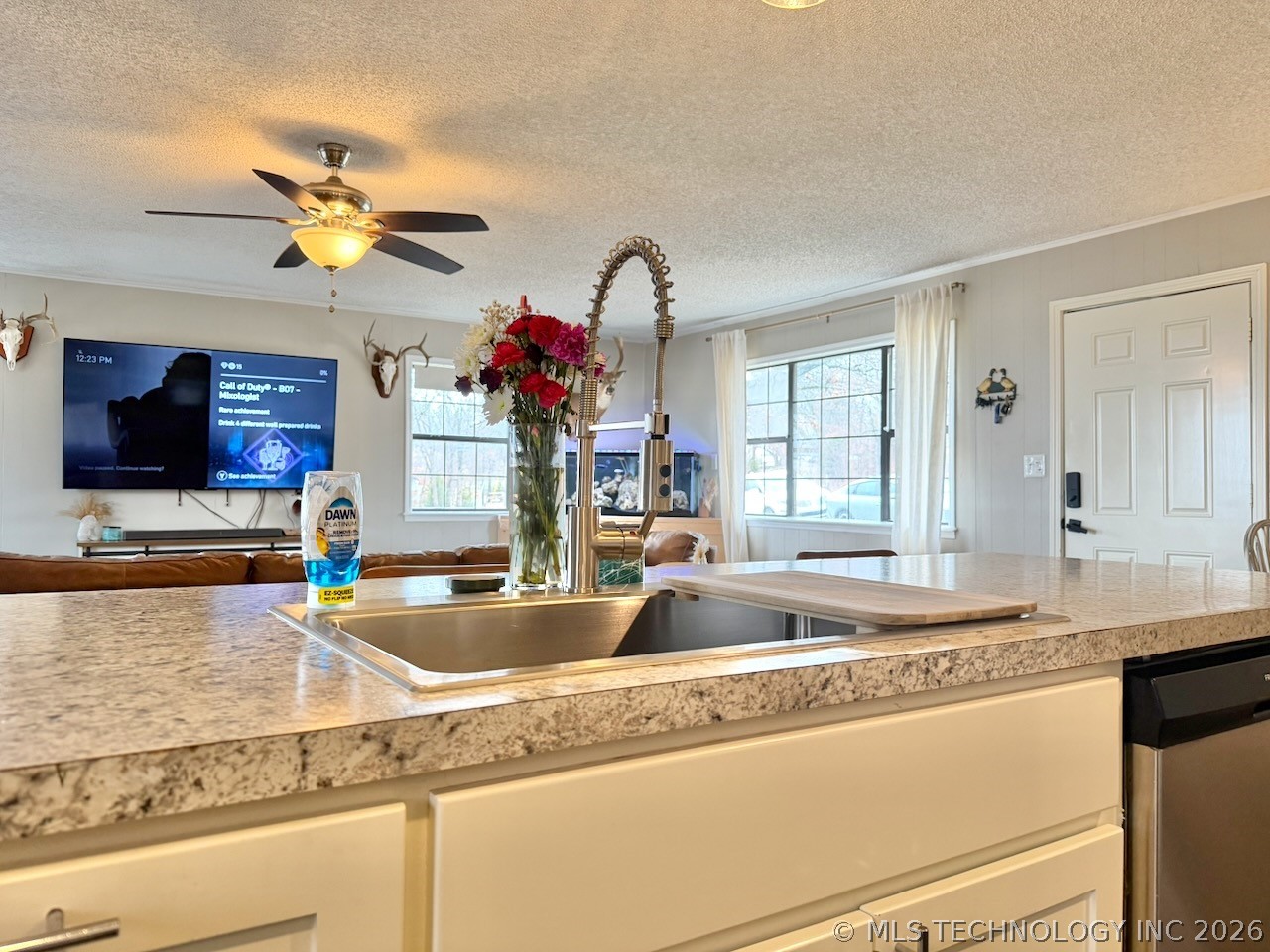 9 S Lake View Property Photo 9