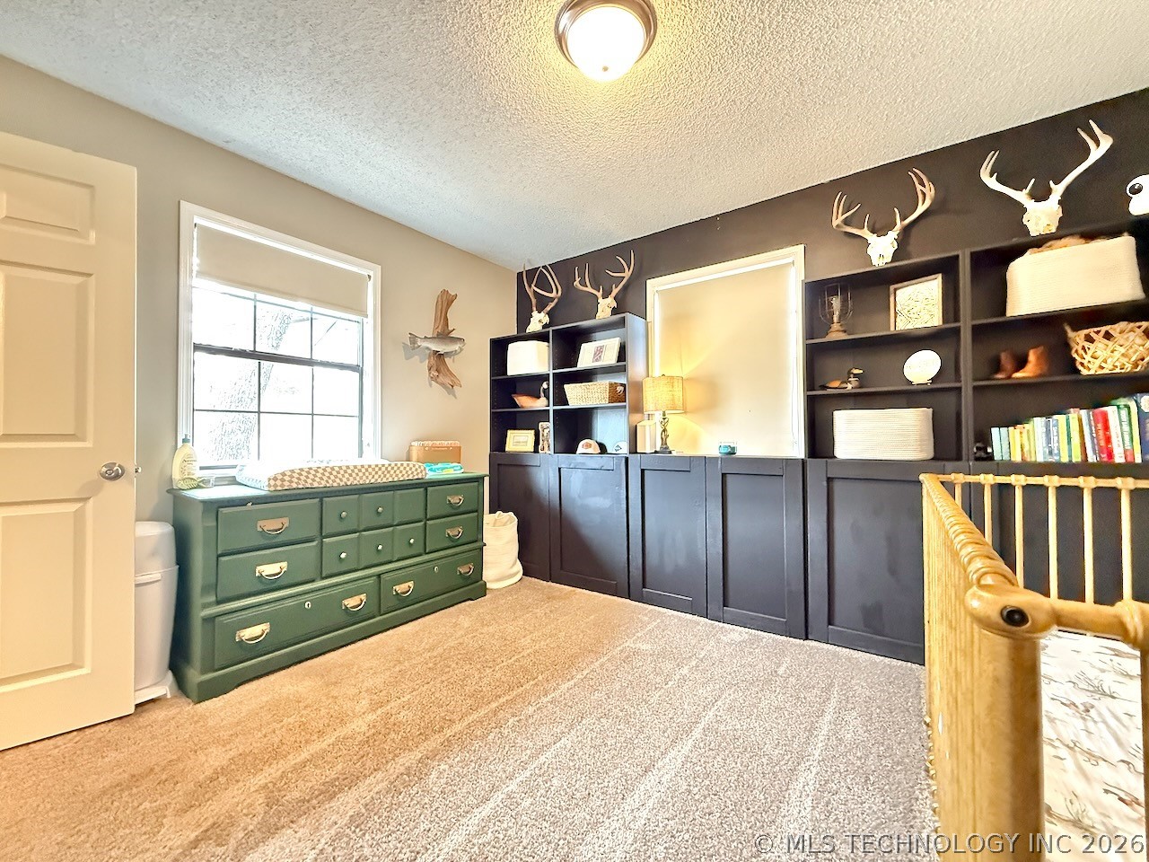 9 S Lake View Property Photo 19