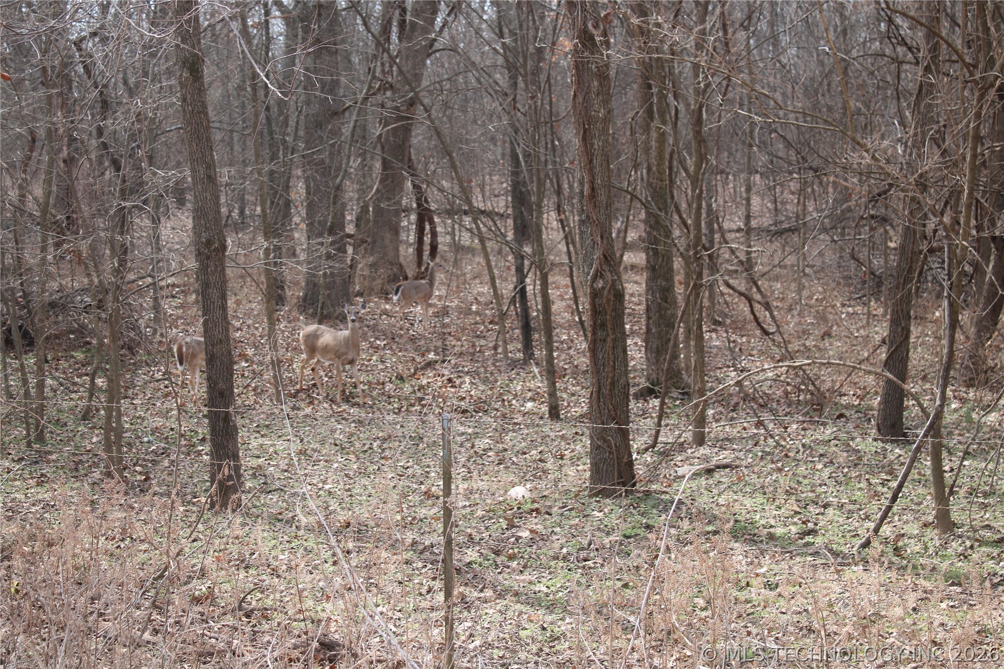 8101 S 700 Road Property Photo 11