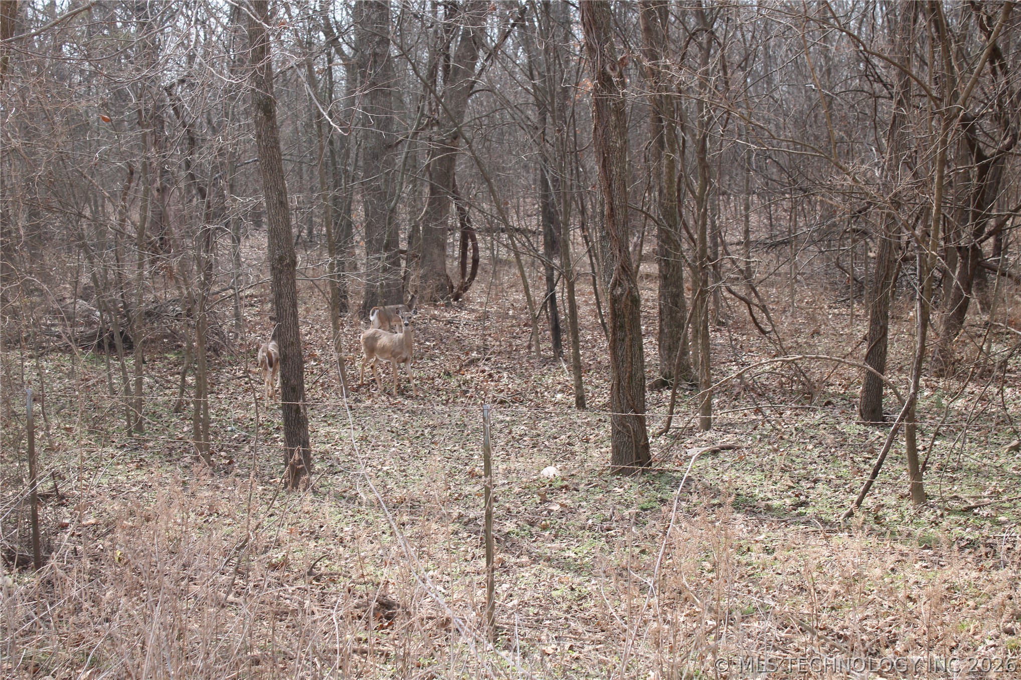 8101 S 700 Road Property Photo 12