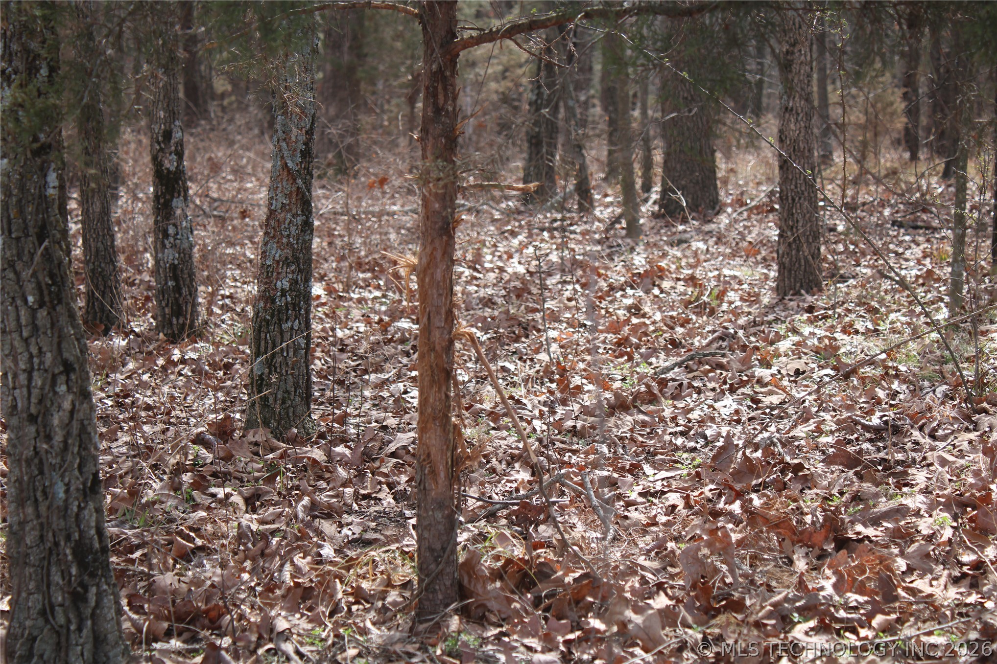 8101 S 700 Road Property Photo 24