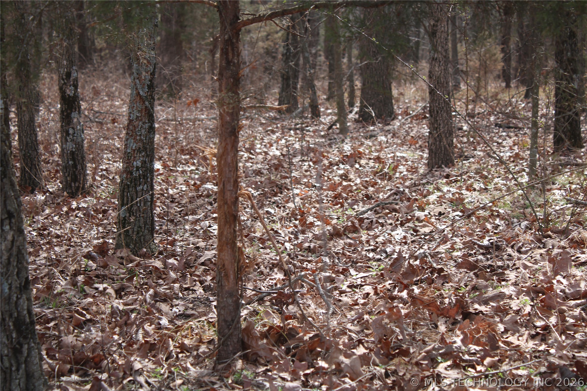 8101 S 700 Road Property Photo 25
