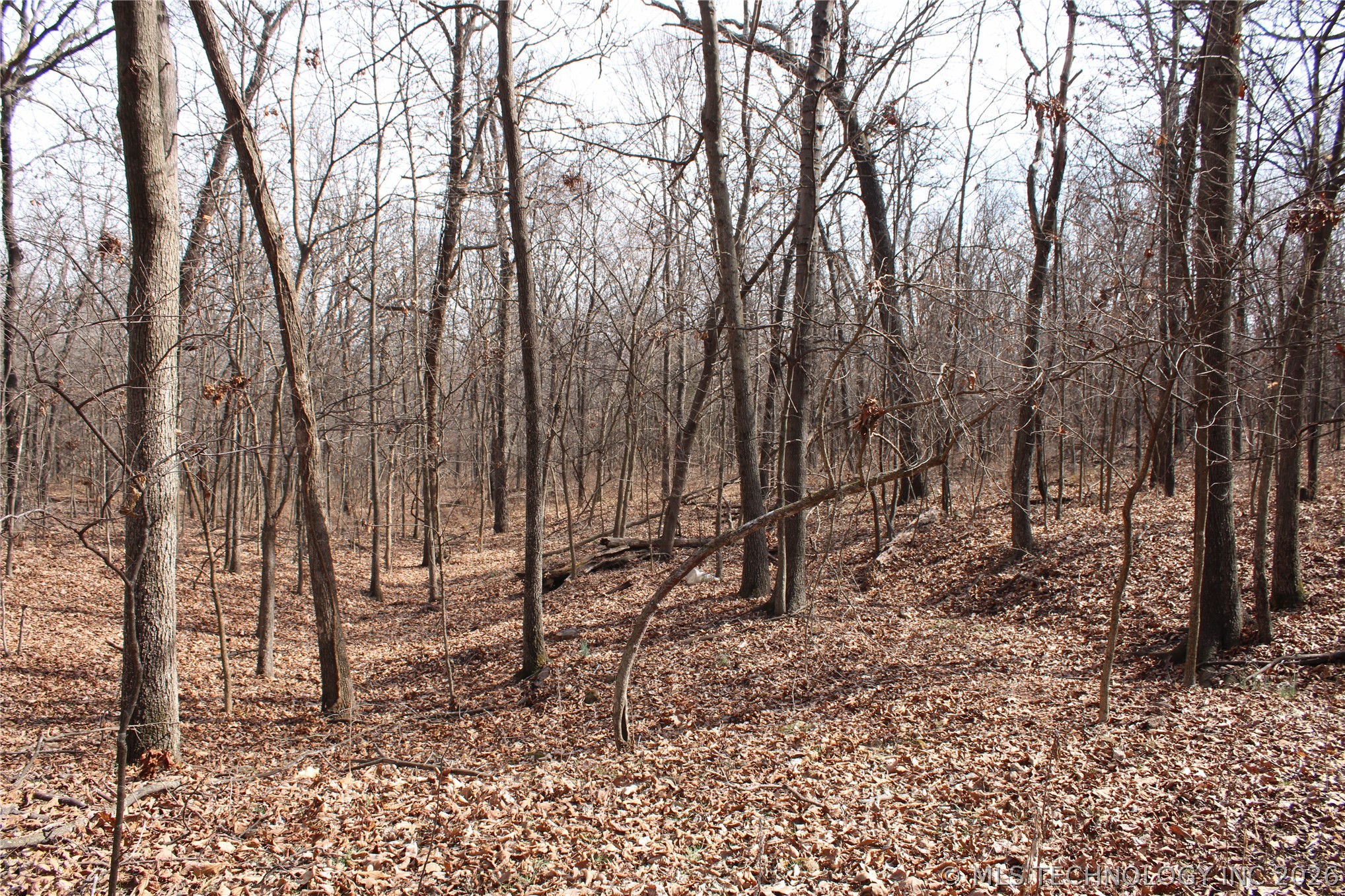 8101 S 700 Road Property Photo 27