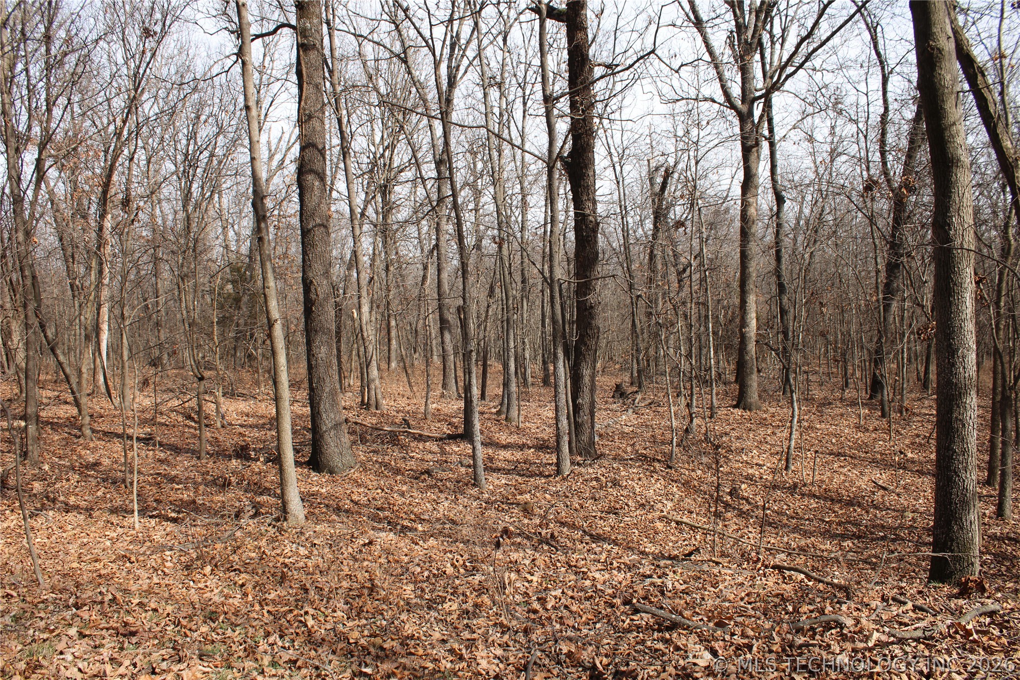 8101 S 700 Road Property Photo 28