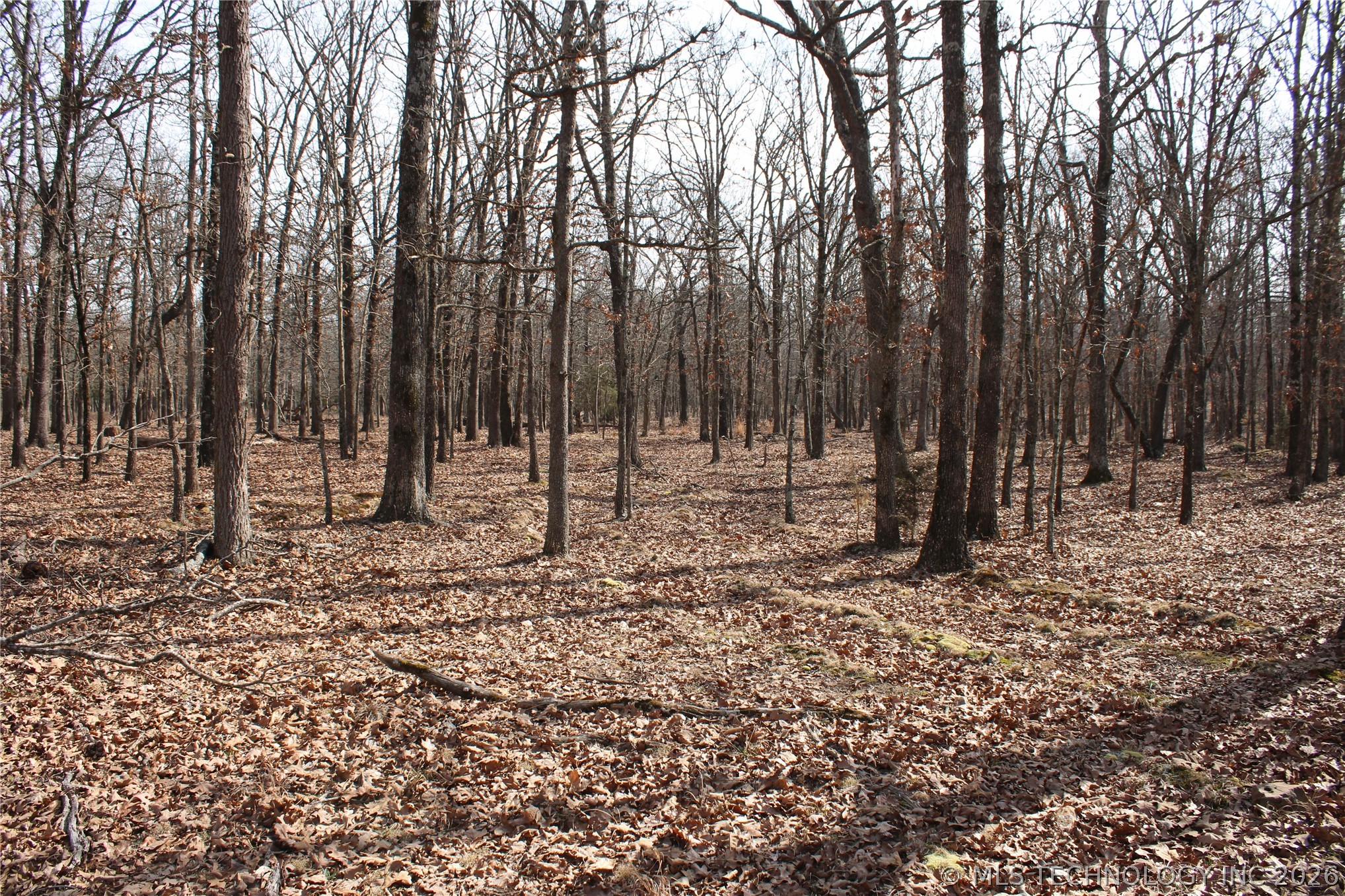 8101 S 700 Road Property Photo 31