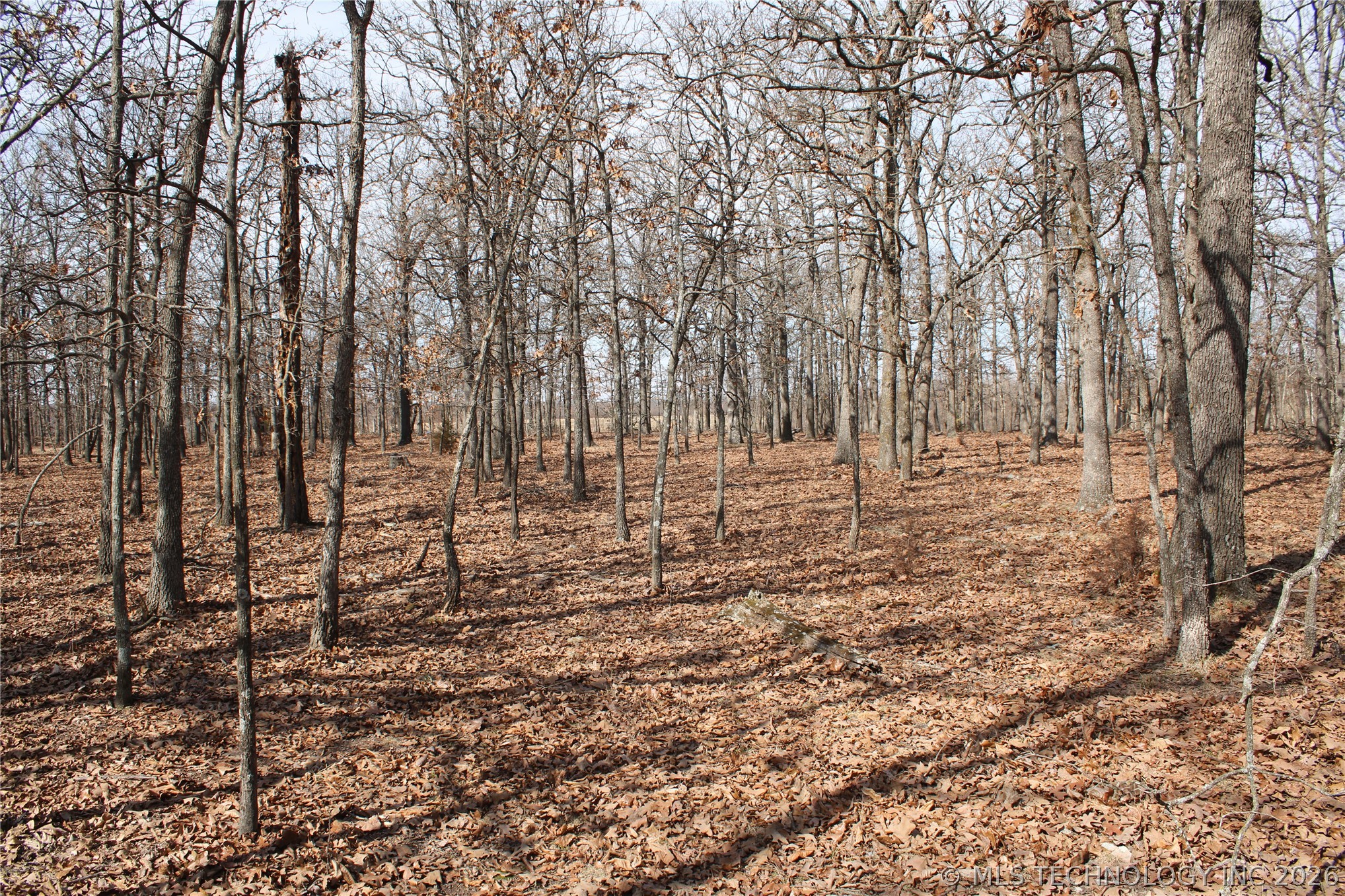 8101 S 700 Road Property Photo 36