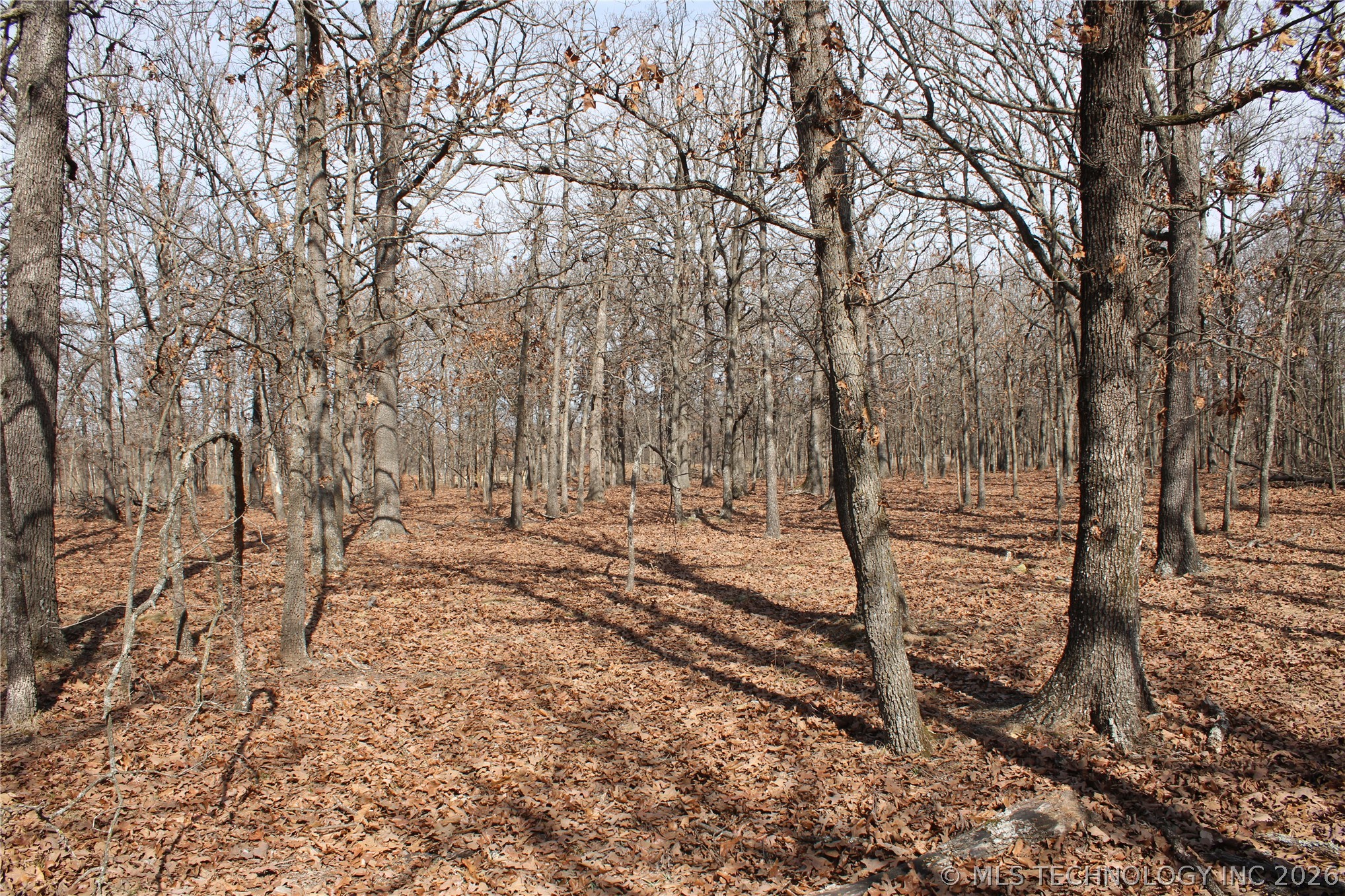 8101 S 700 Road Property Photo 37