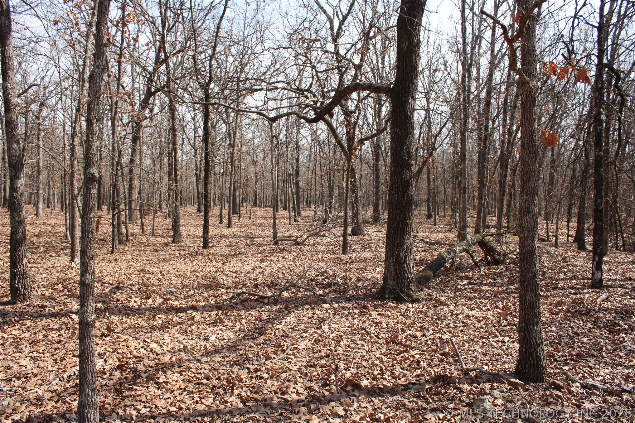 8101 S 700 Road Property Photo 38