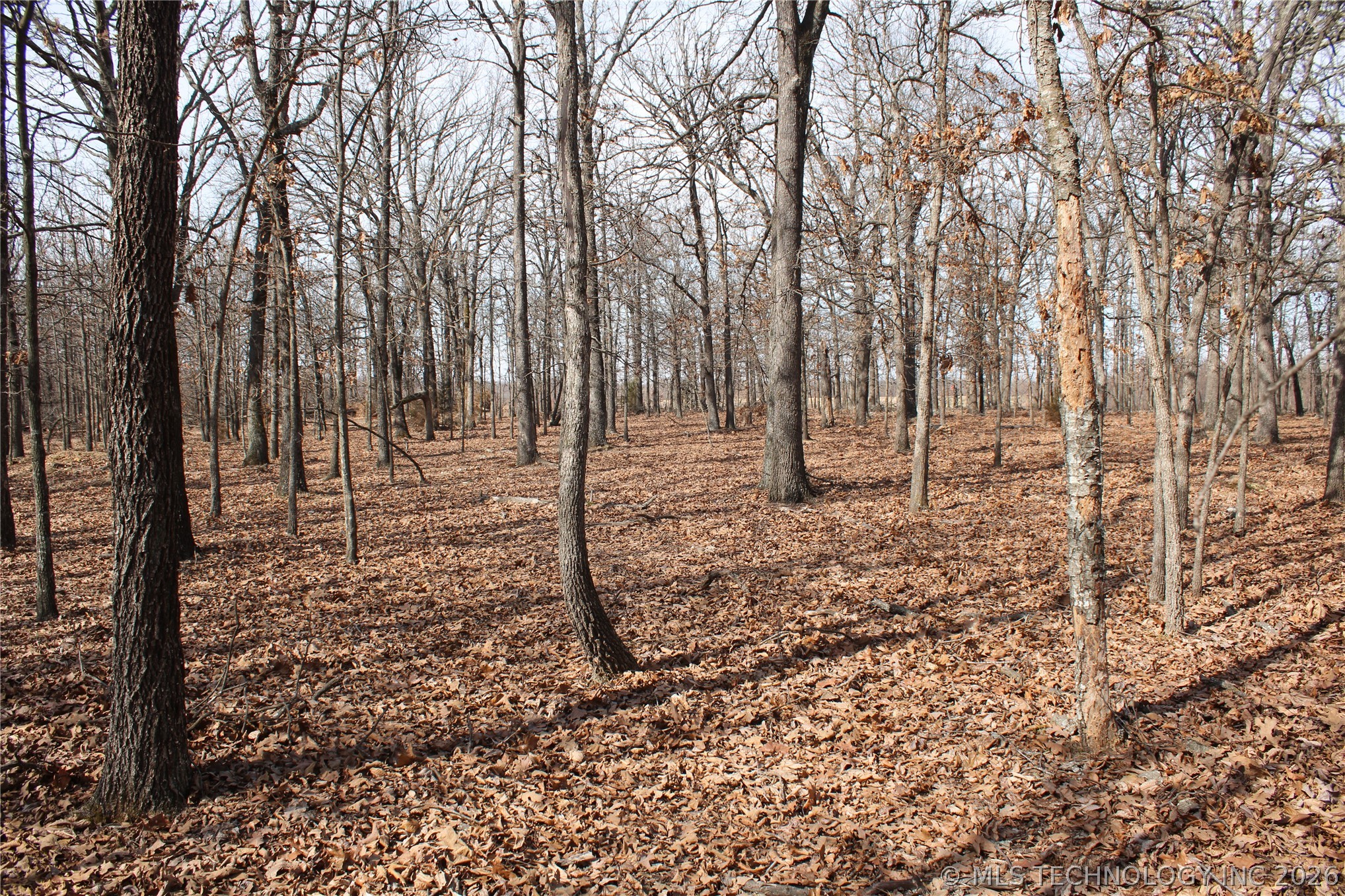 8101 S 700 Road Property Photo 40