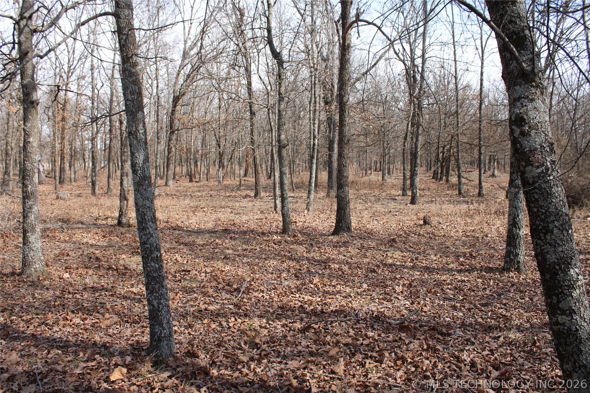 8101 S 700 Road Property Photo 41