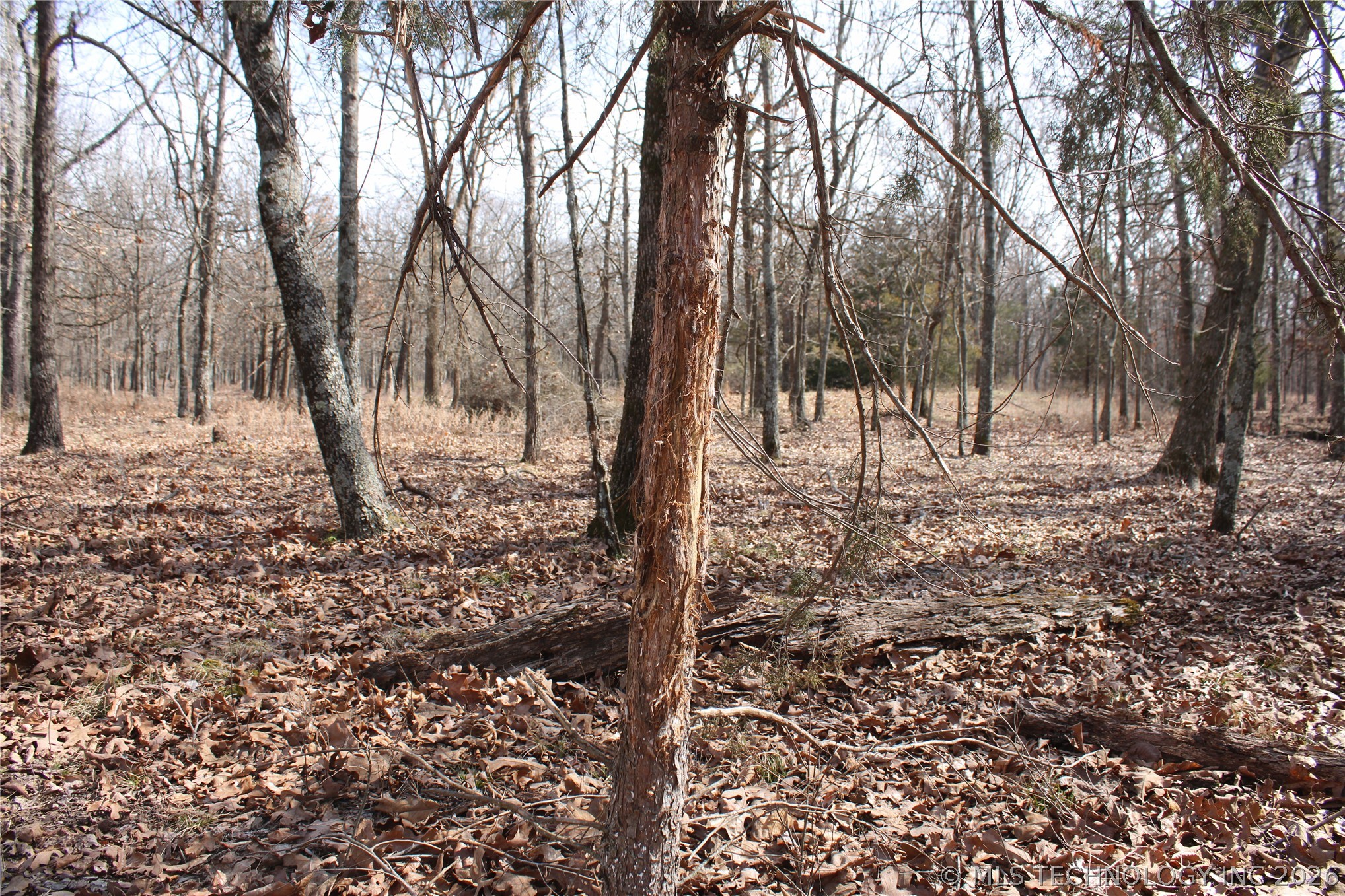 8101 S 700 Road Property Photo 42