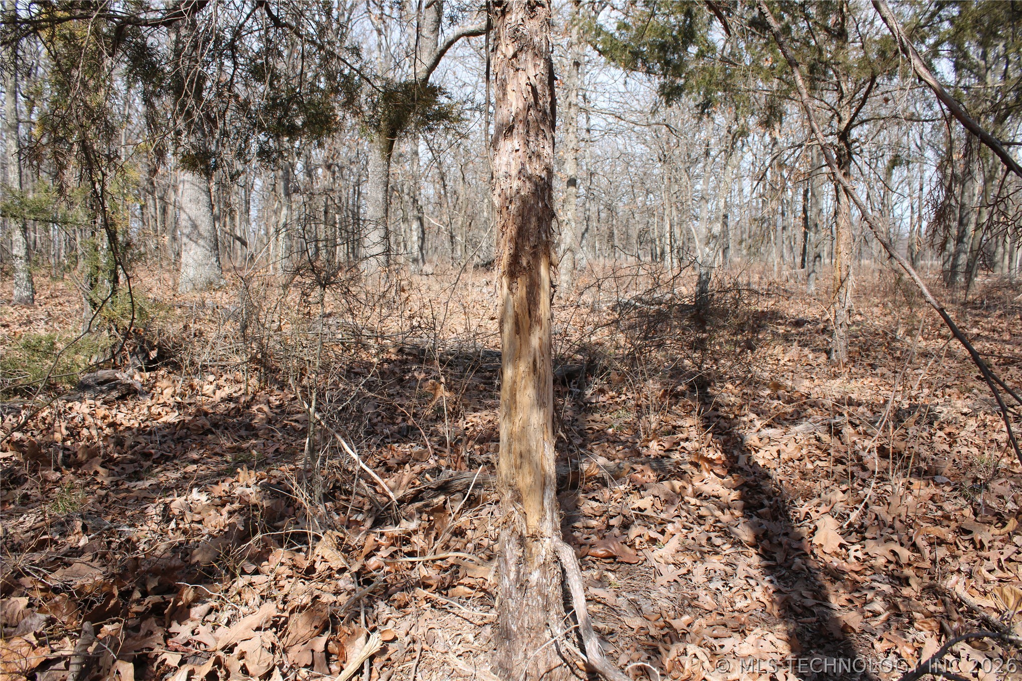 8101 S 700 Road Property Photo 43