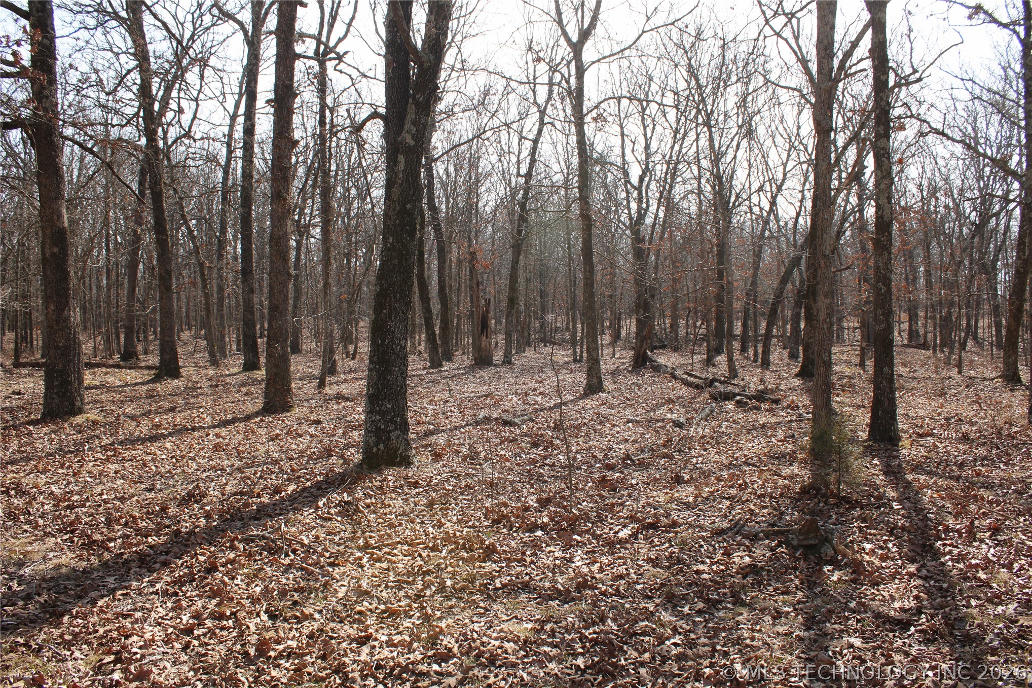 8101 S 700 Road Property Photo 44
