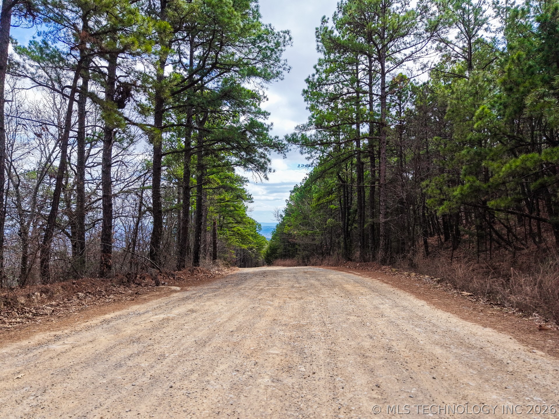 251 Ben Treado Road Property Photo 14