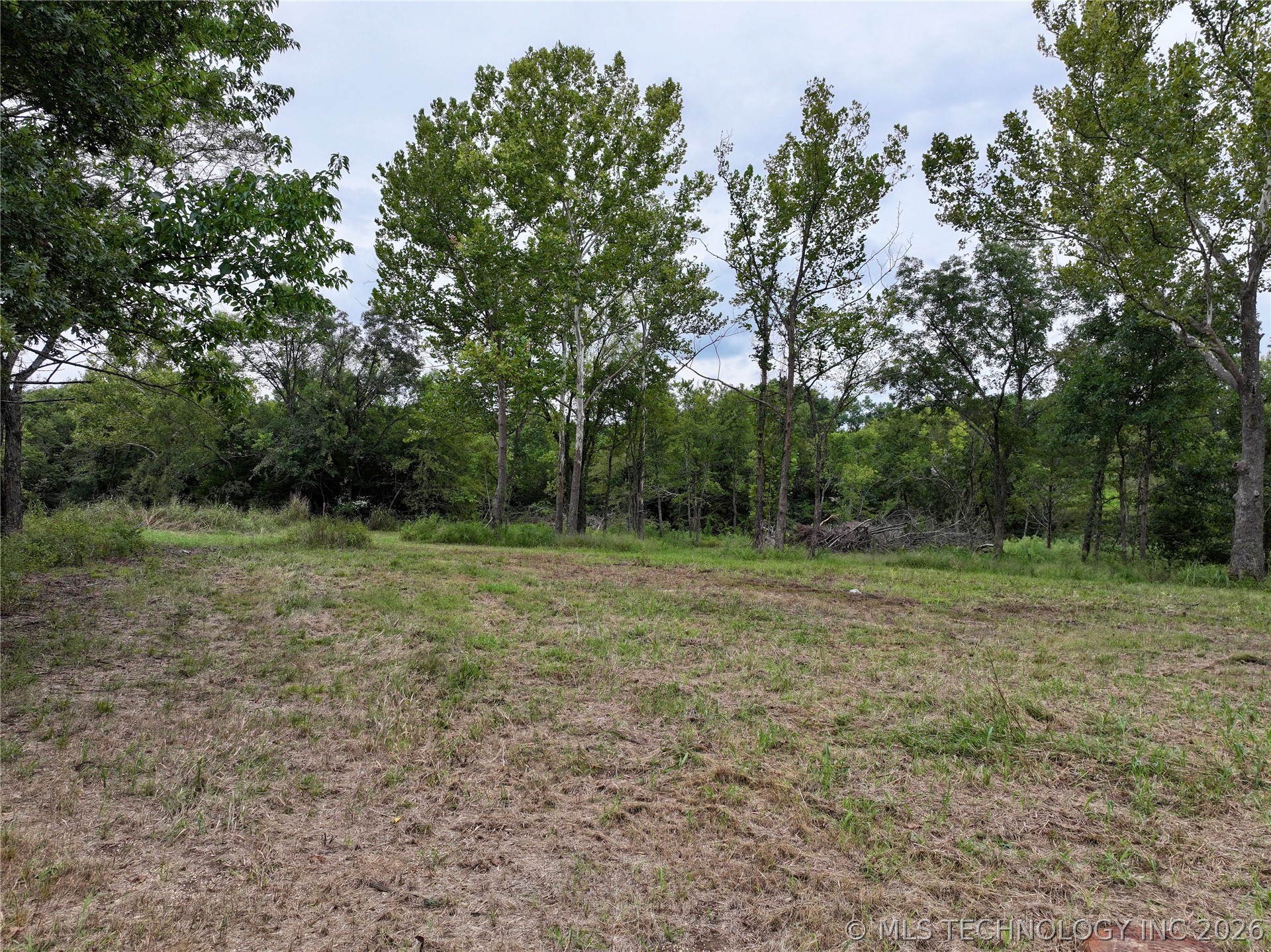 16549 County Road 1561 Property Photo 2