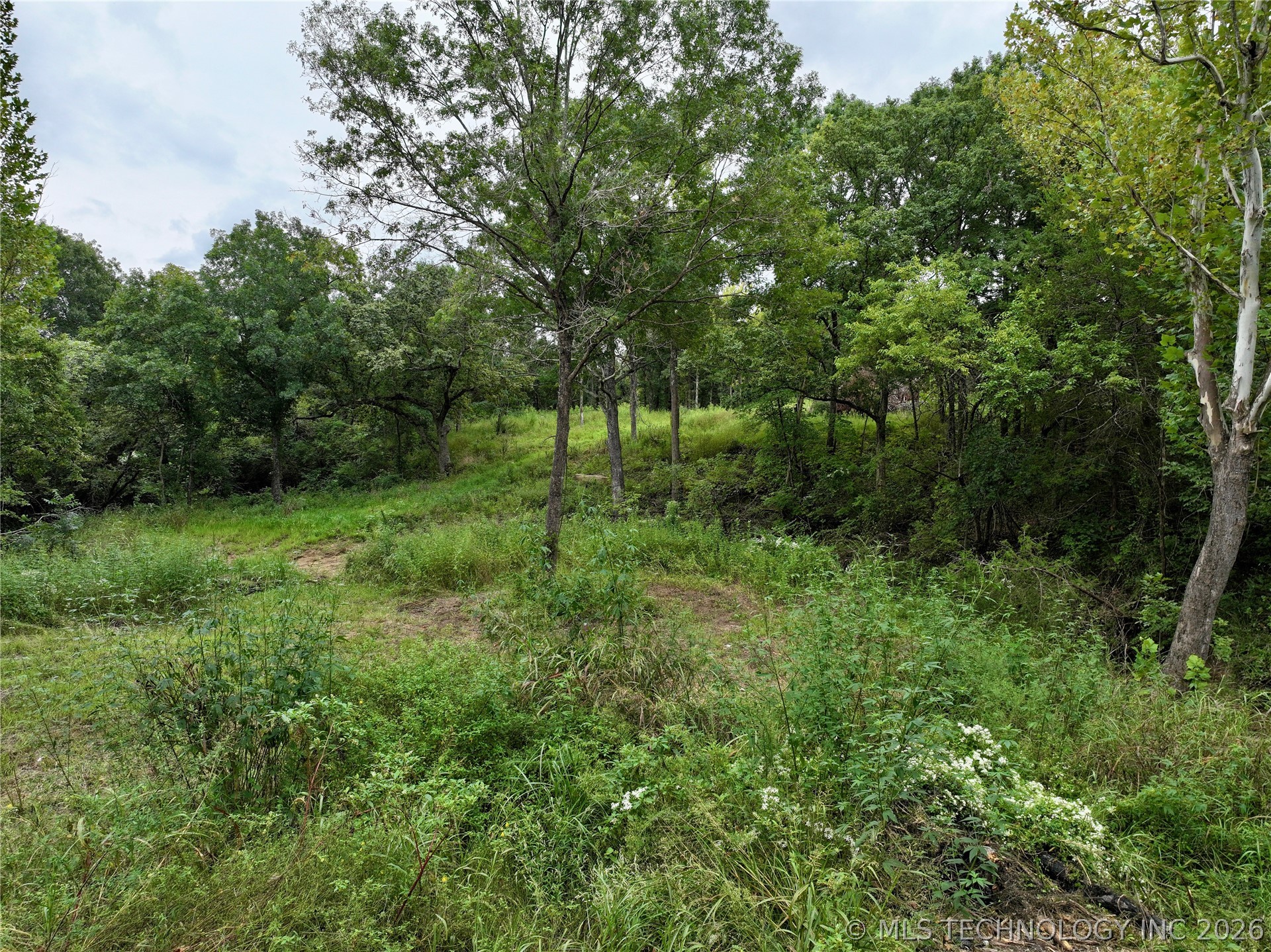 16549 County Road 1561 Property Photo 4