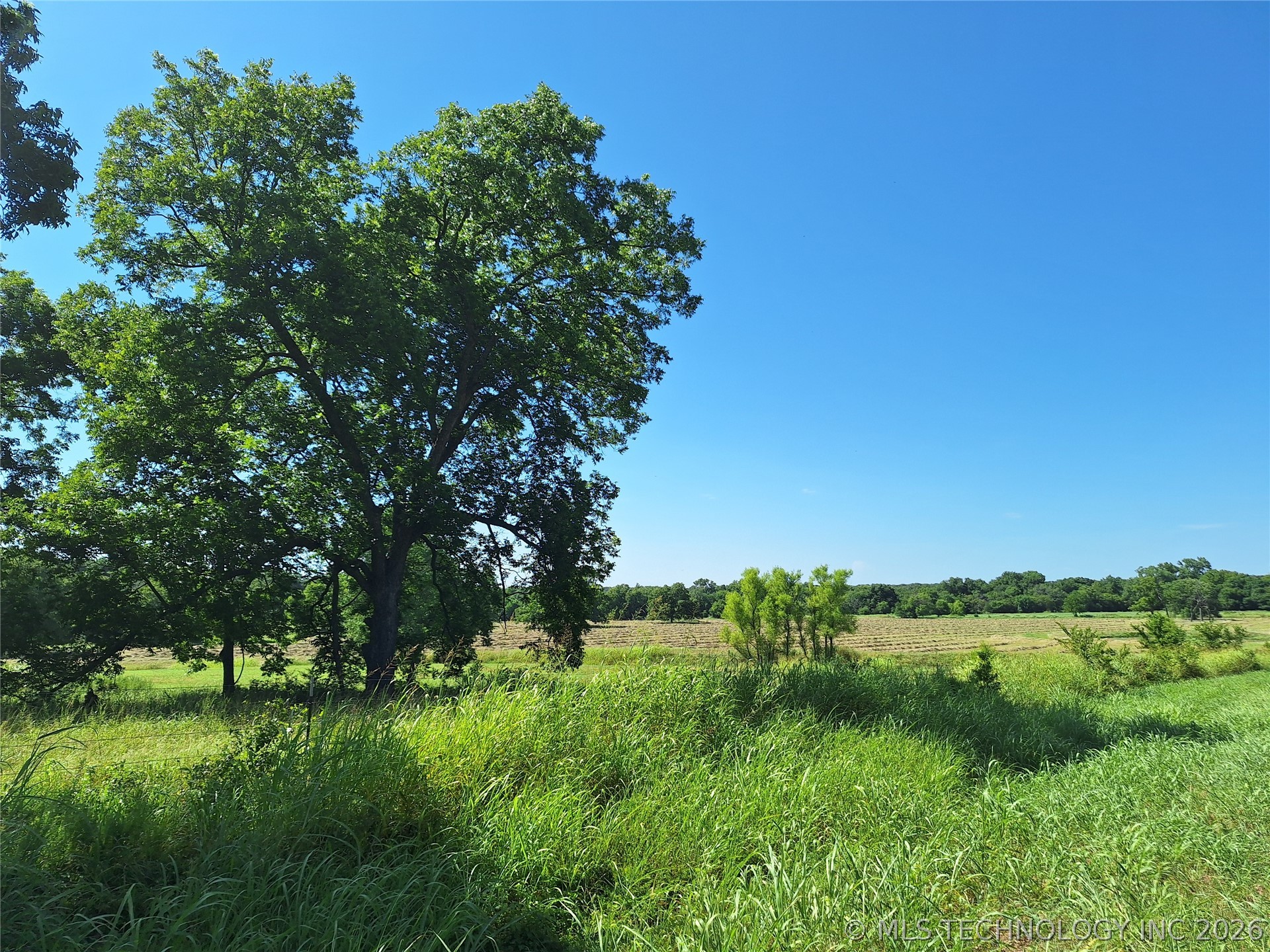 16801 County Road 3445 Property Photo 60