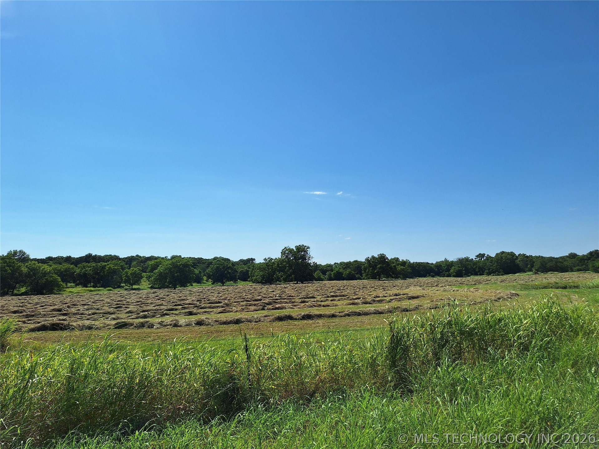 16801 County Road 3445 Property Photo 61