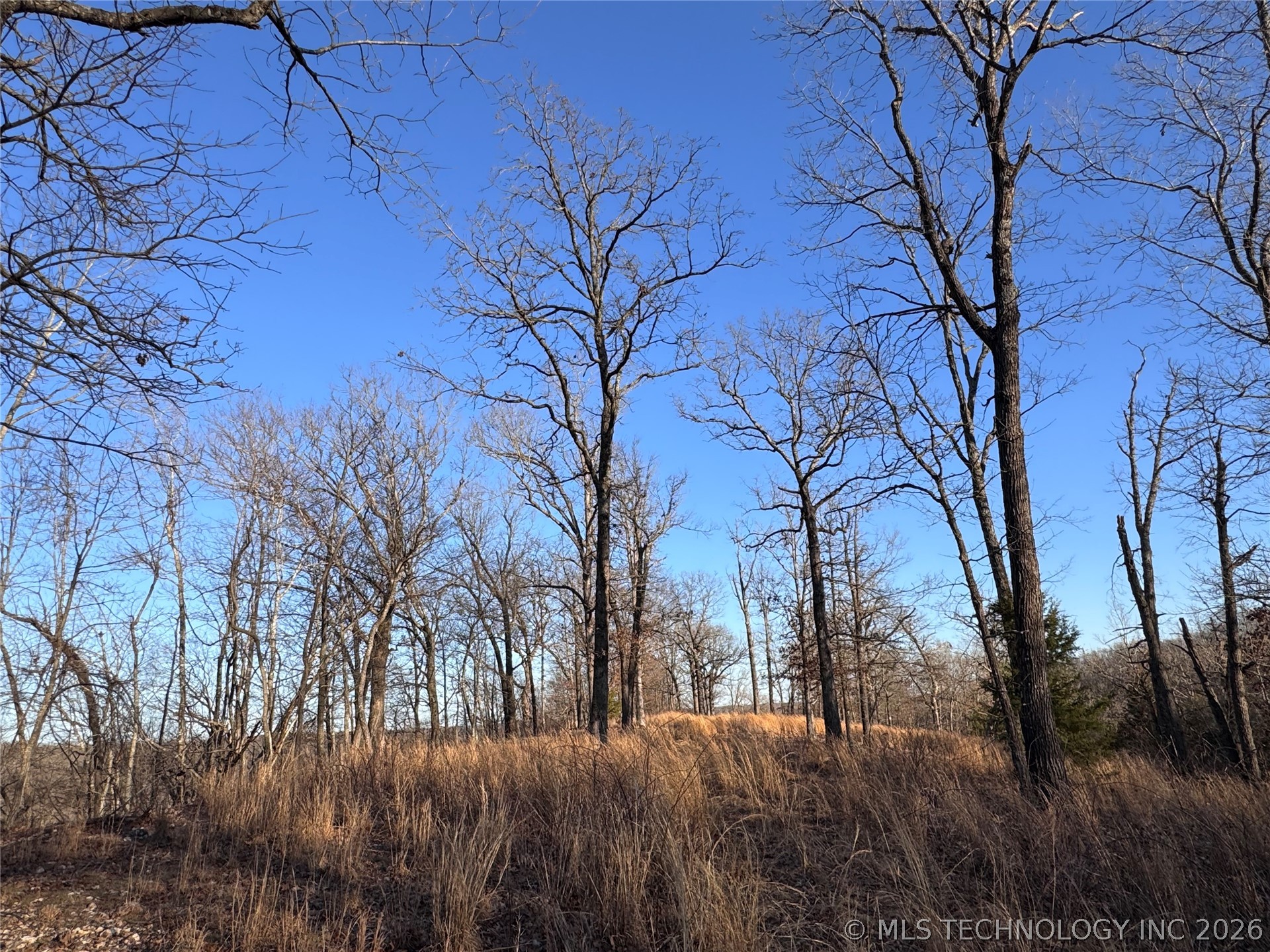 4395 N Oaks Road Property Photo 5