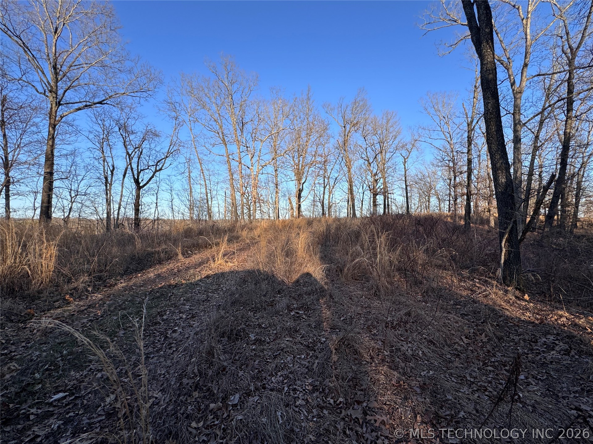 4395 N Oaks Road Property Photo 6