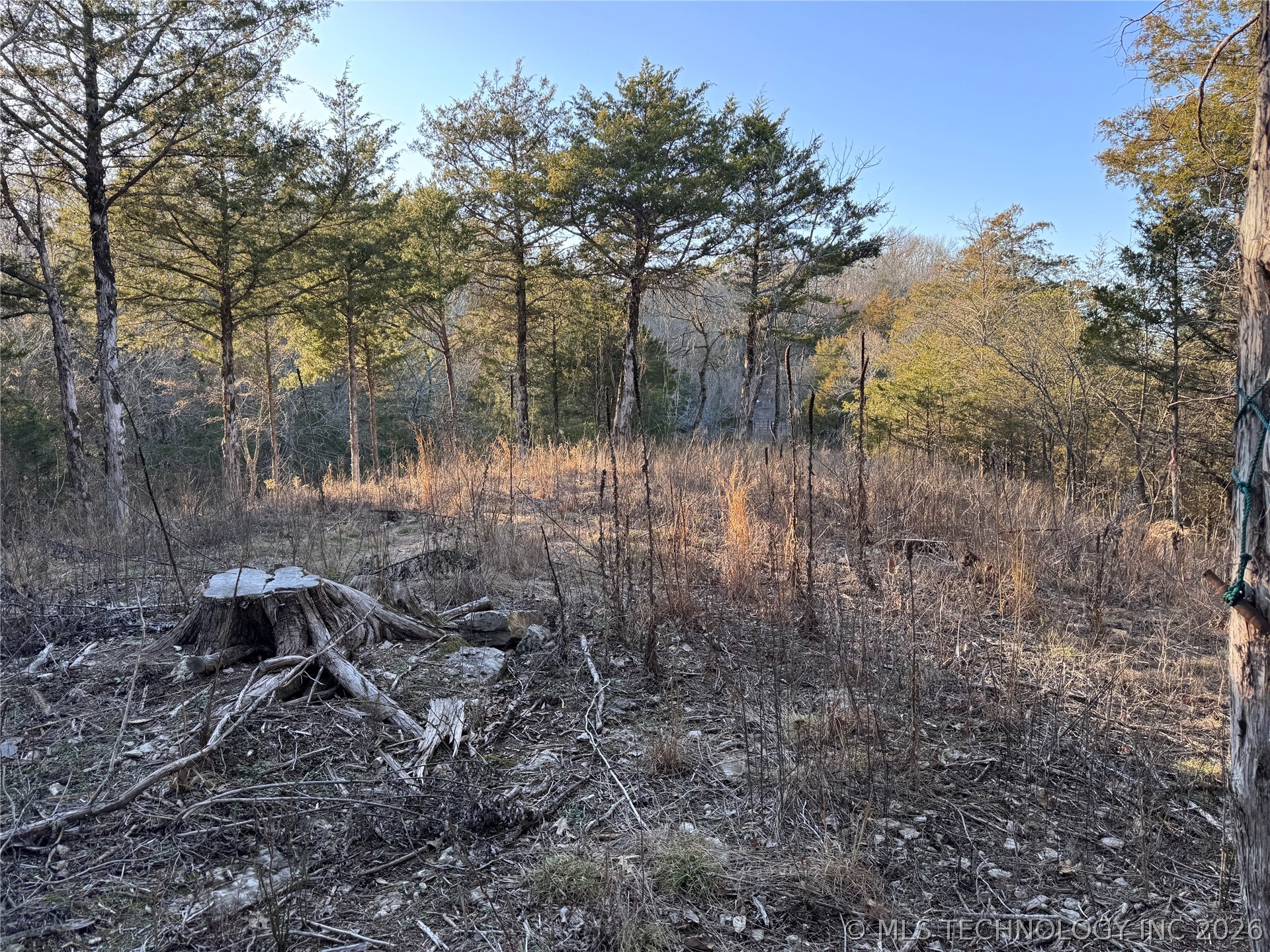 4395 N Oaks Road Property Photo 17