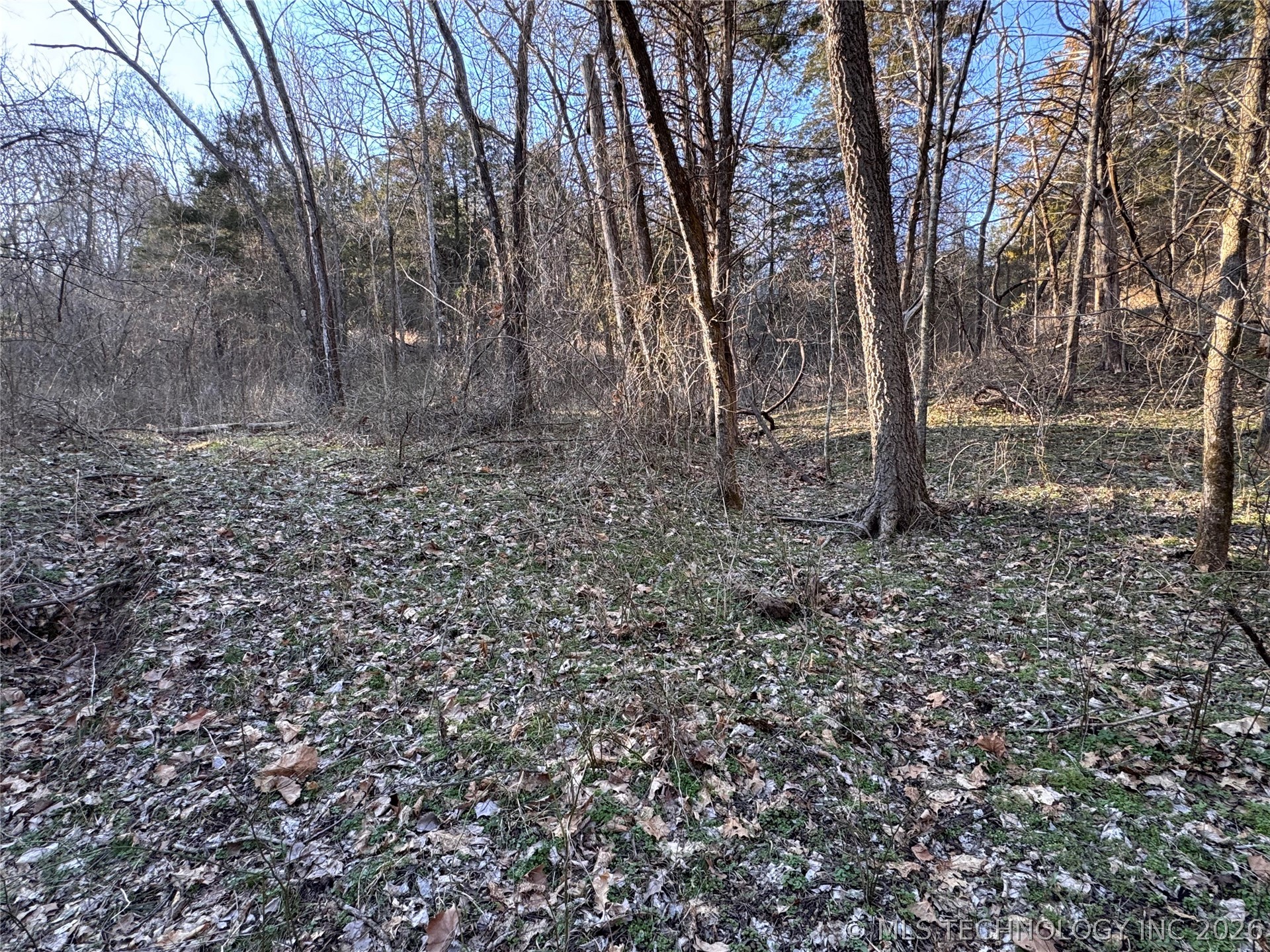4395 N Oaks Road Property Photo 20