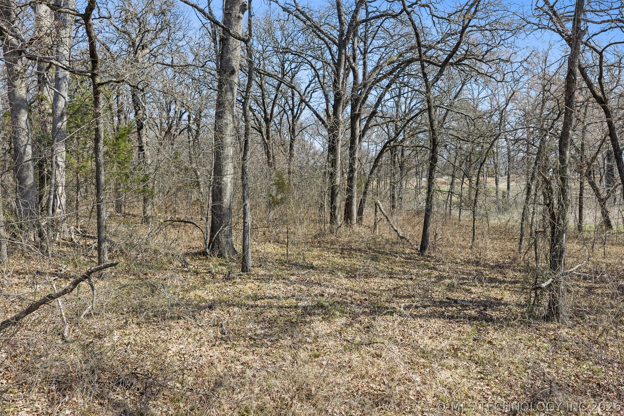 1477 Sandy Creek Road Property Photo 35