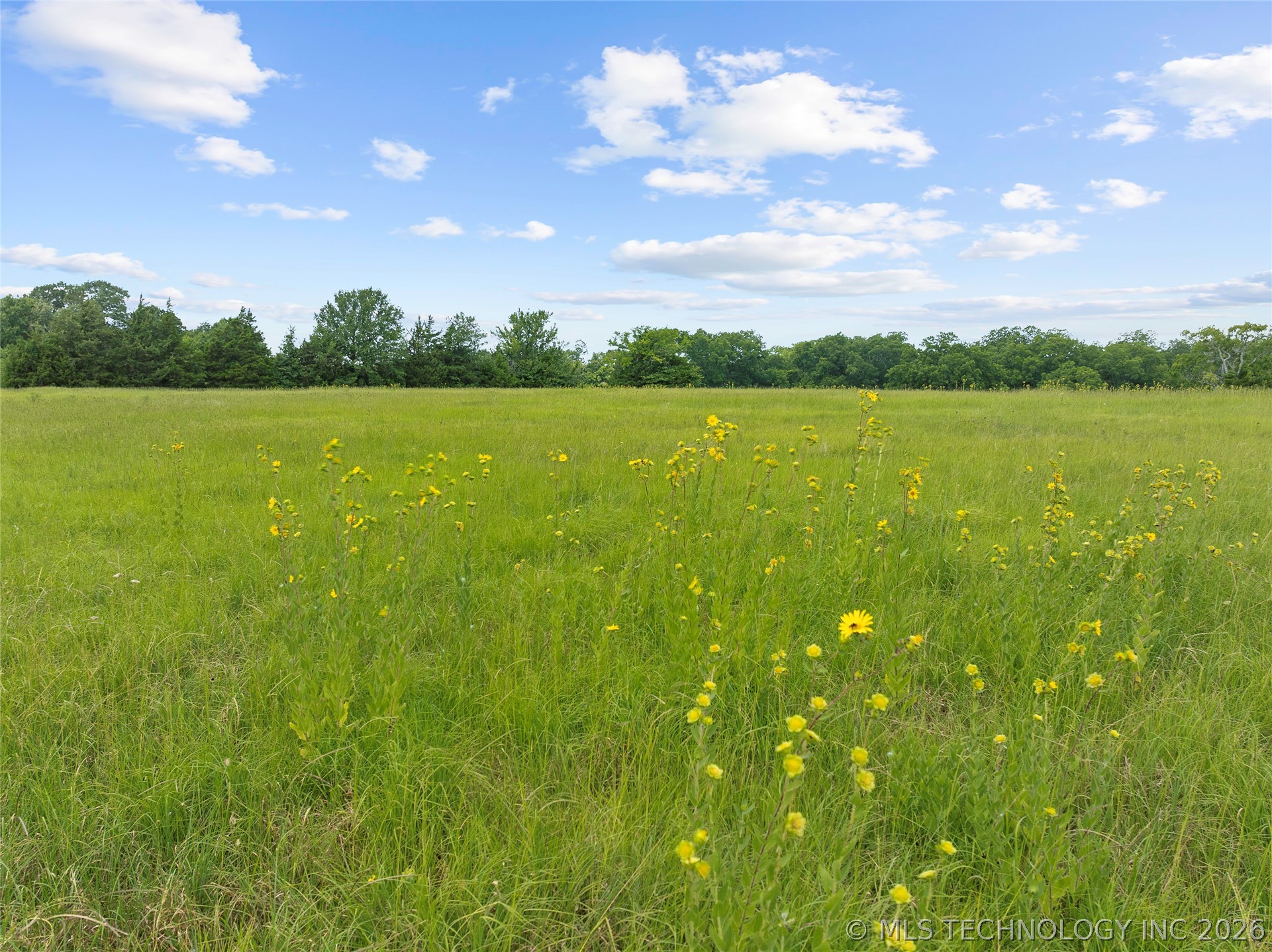 2748 Winters Creek Road Property Photo 31
