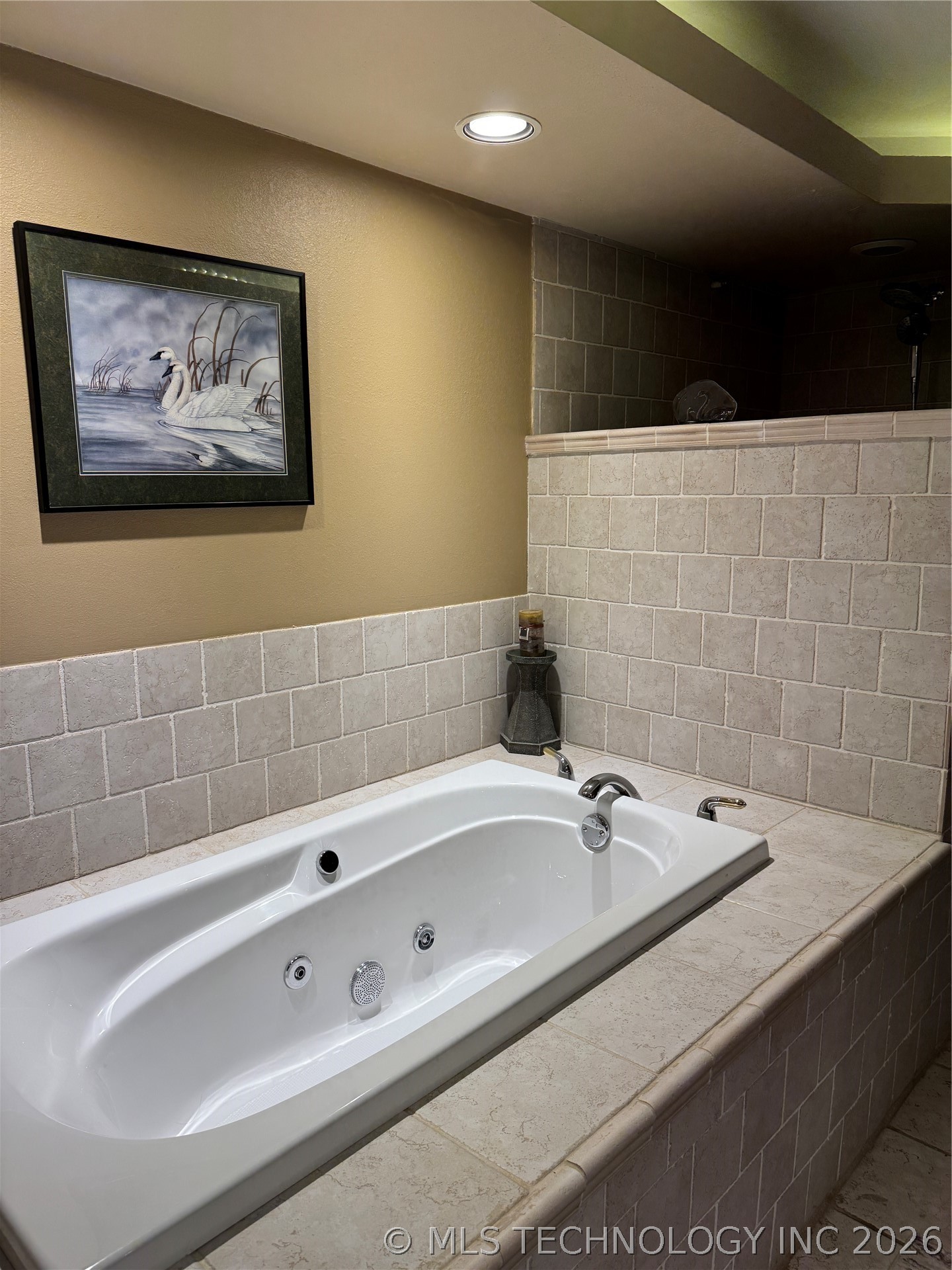 420406 E 1171 Property Photo 47