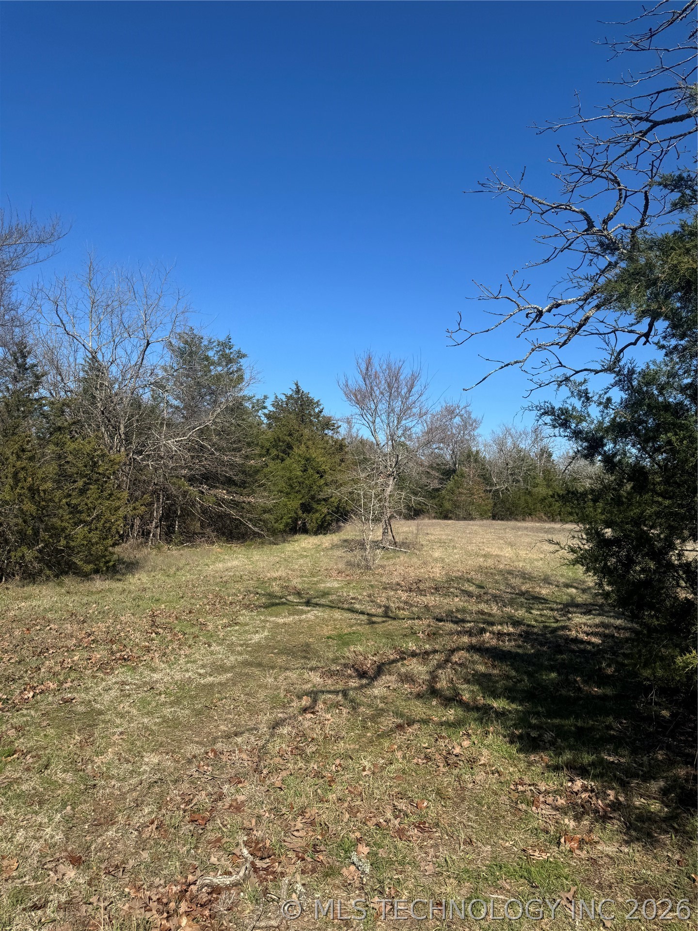 0000 One Creek Valley Road Property Photo 6