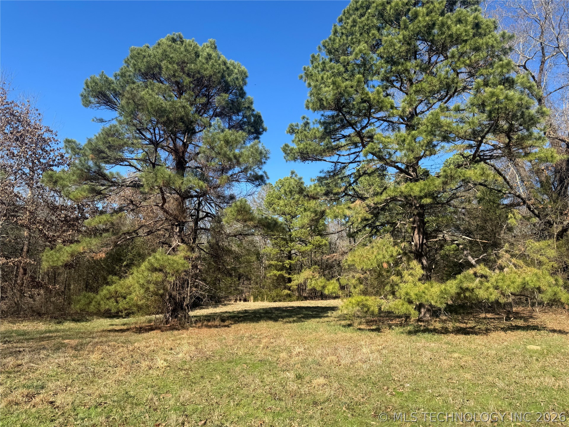 0000 One Creek Valley Road Property Photo 10