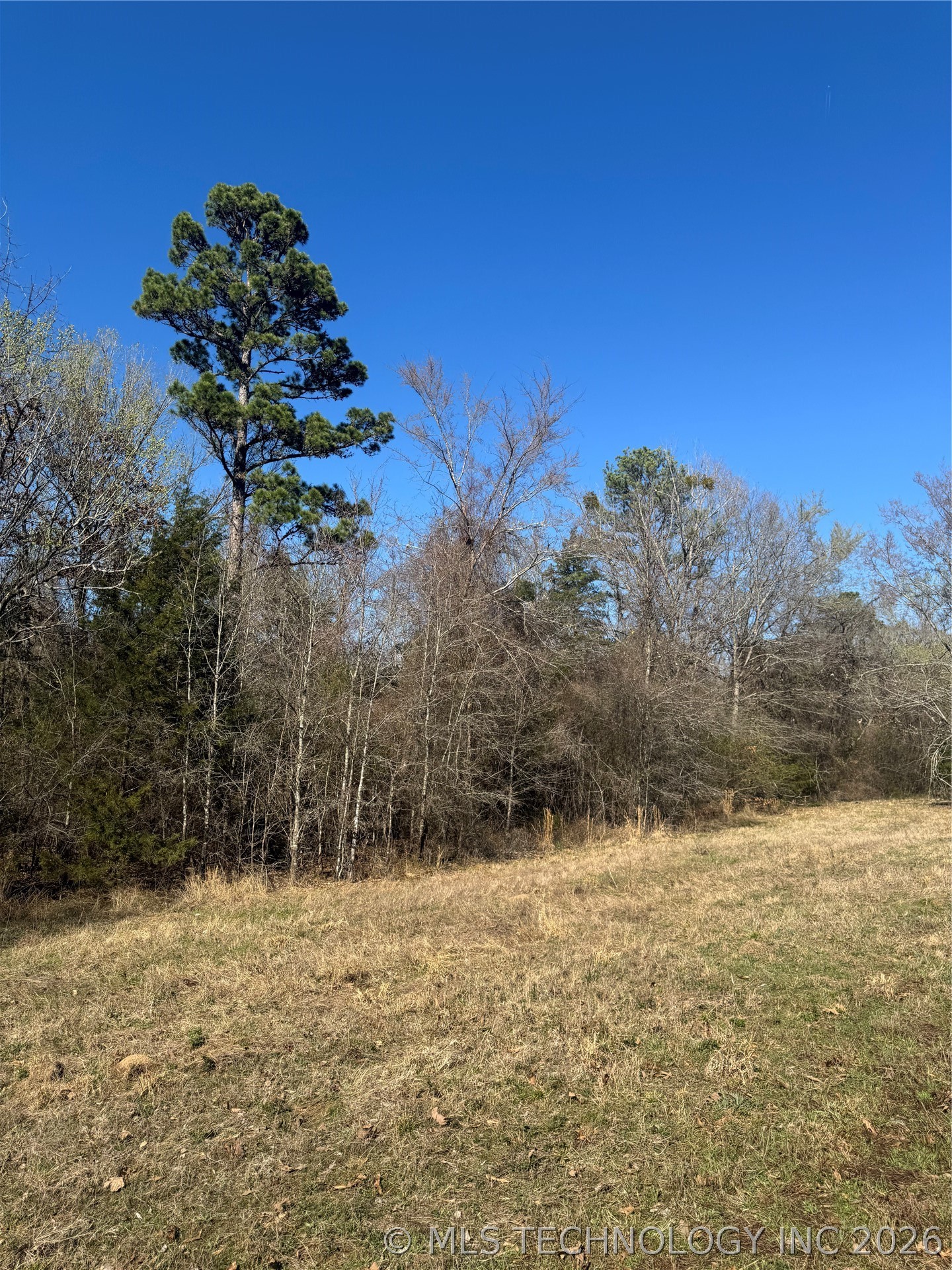 0000 One Creek Valley Road Property Photo 14