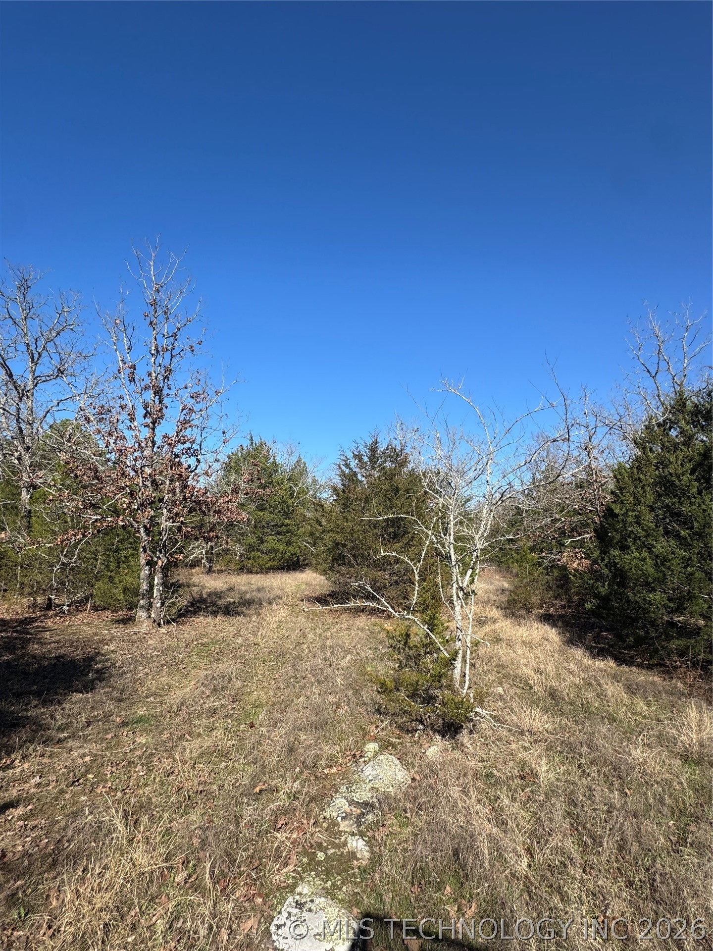 0000 One Creek Valley Road Property Photo 16