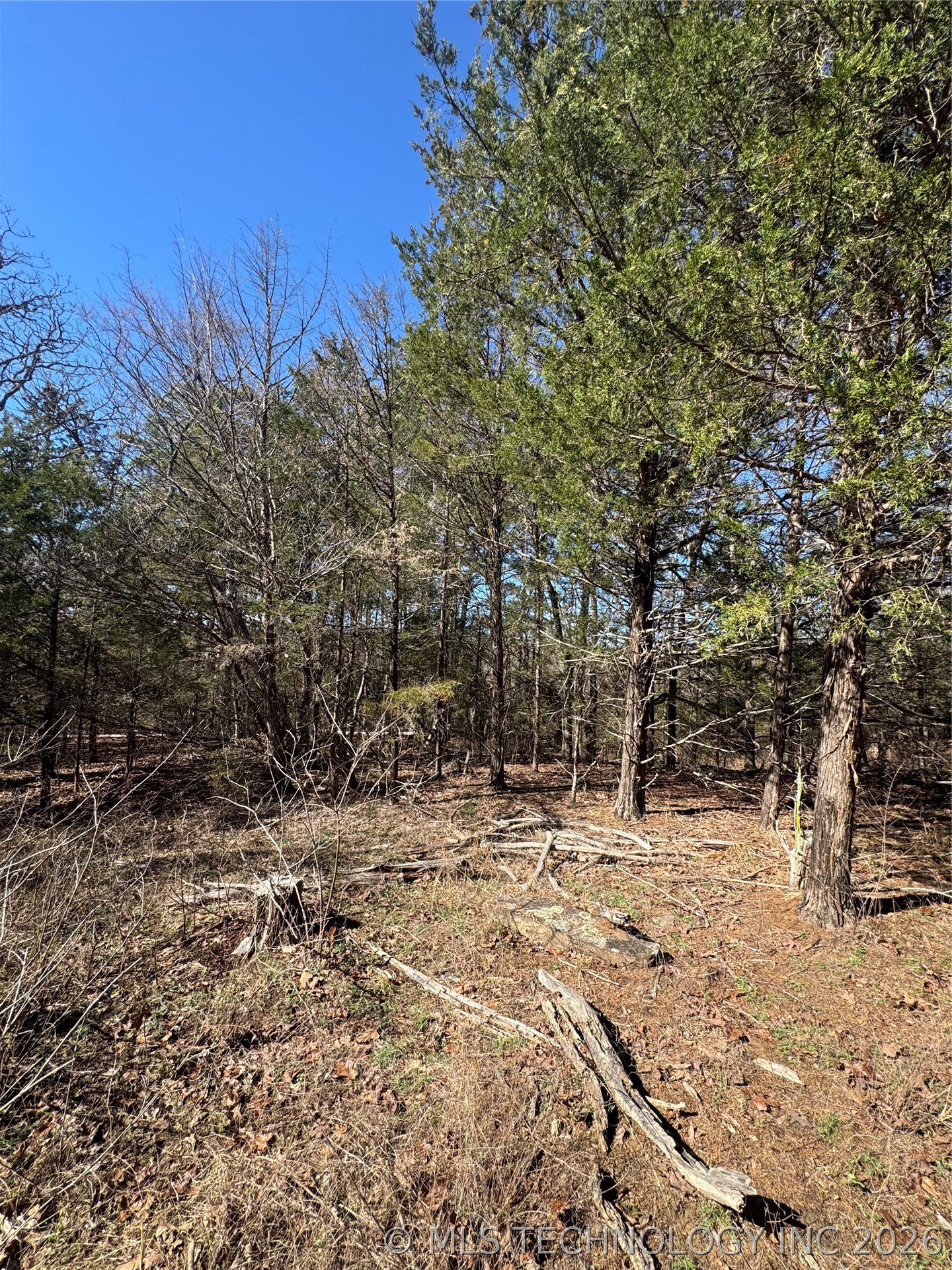0000 One Creek Valley Road Property Photo 24