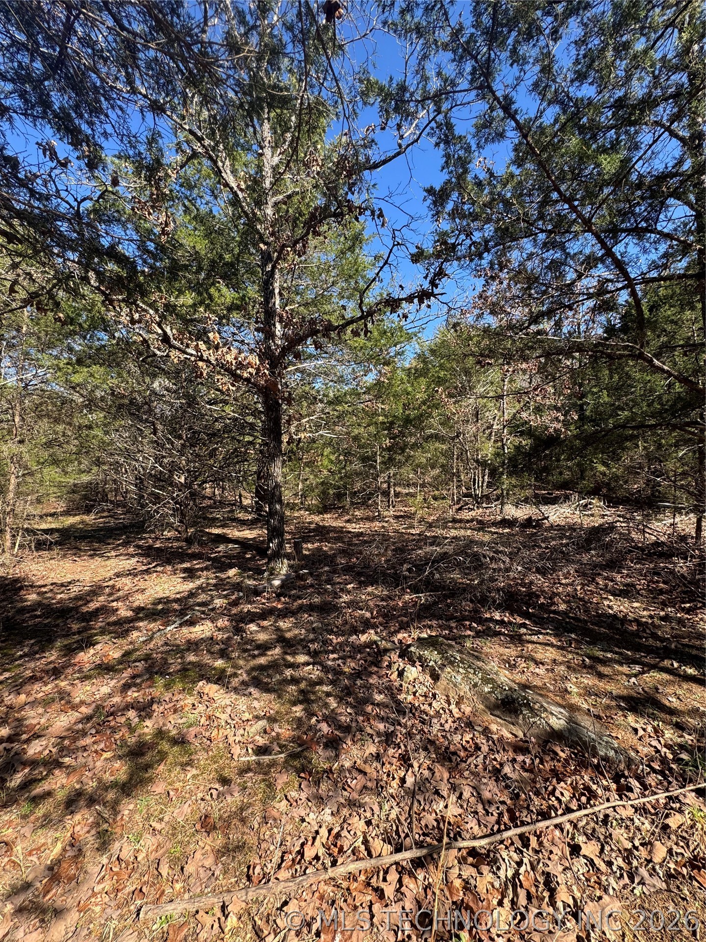 0000 One Creek Valley Road Property Photo 25