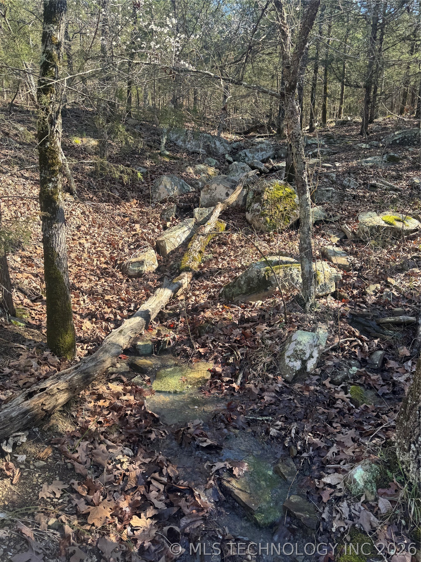 0000 One Creek Valley Road Property Photo 27