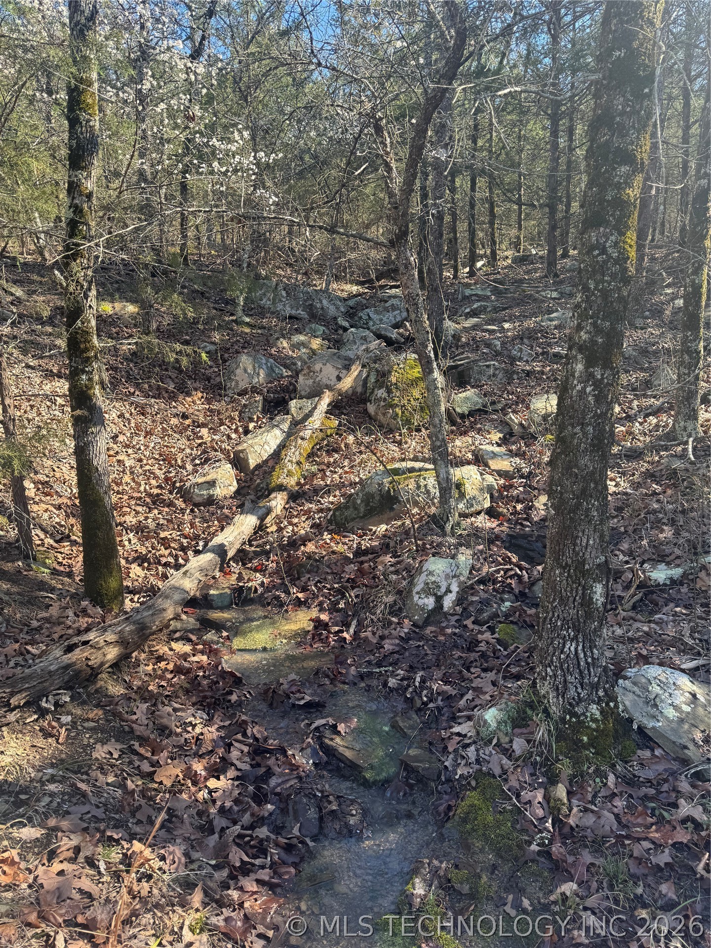 0000 One Creek Valley Road Property Photo 28