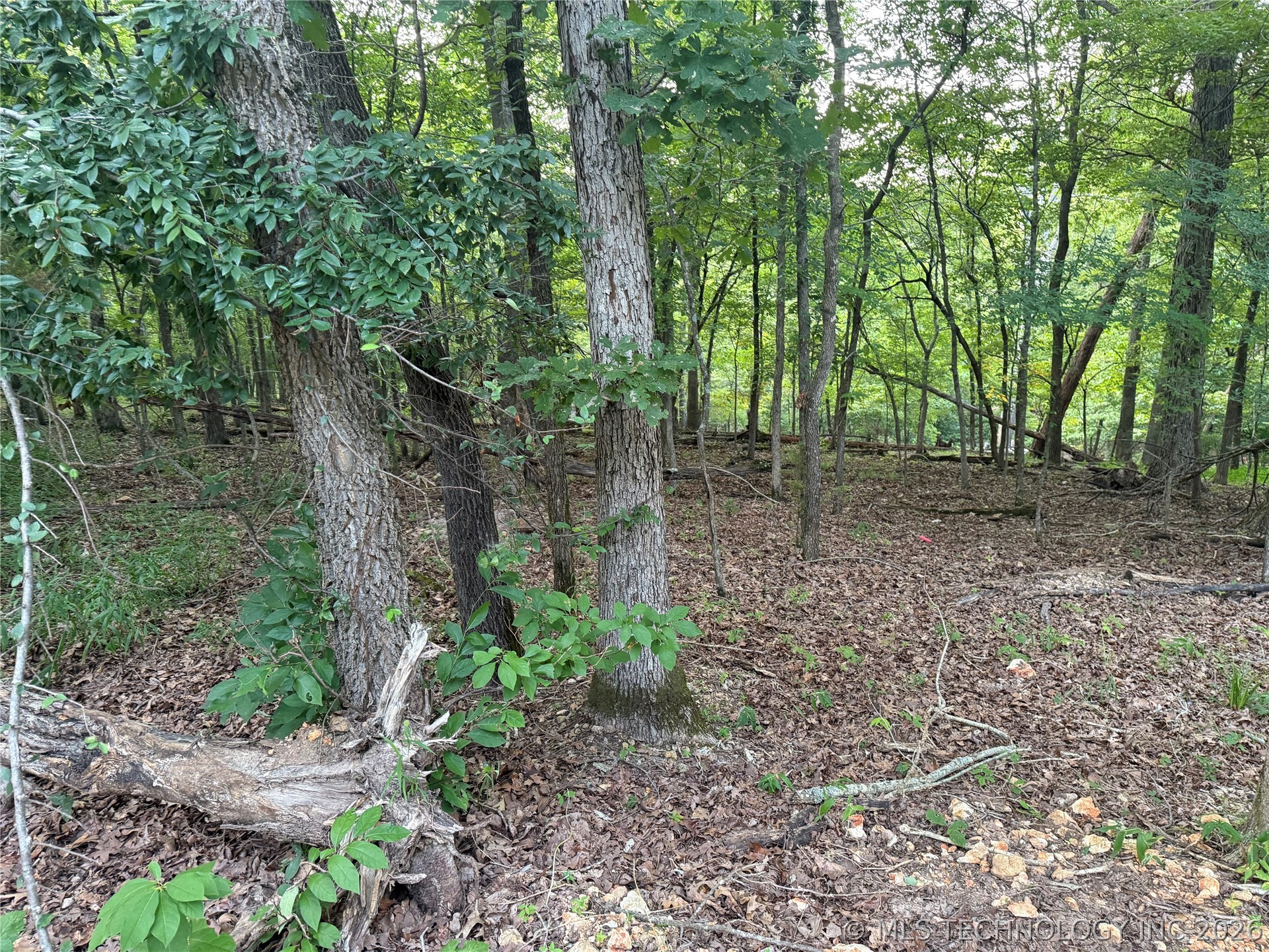101 Flint Ridge Drive Property Photo 3