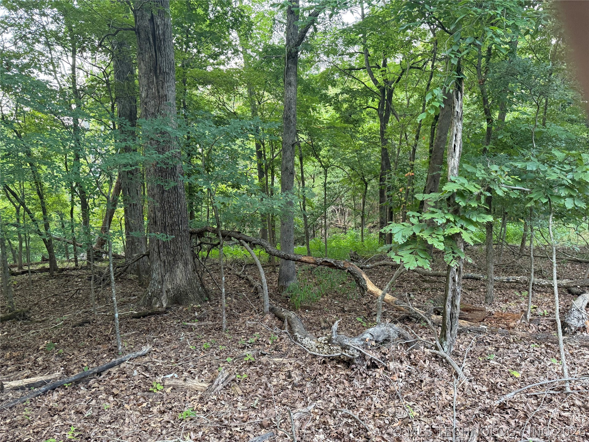 101 Flint Ridge Drive Property Photo 4