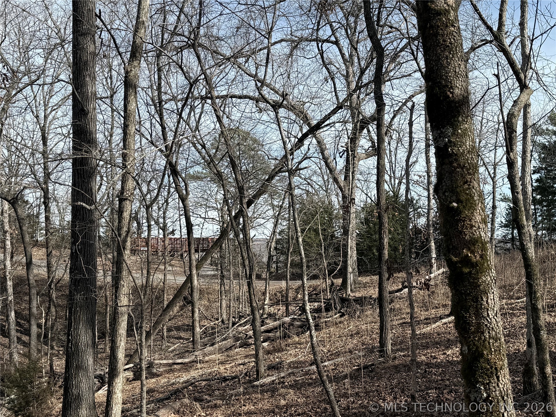 101 Flint Ridge Drive Property Photo 7
