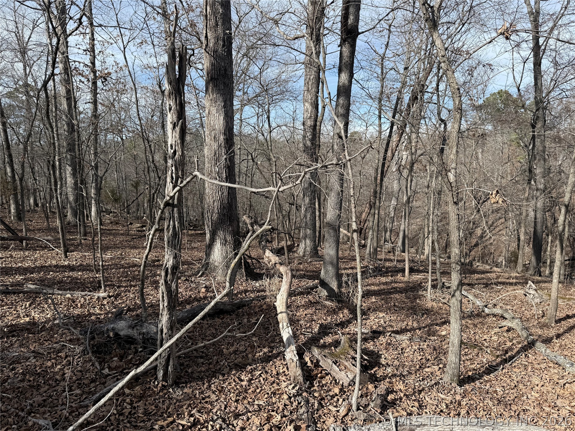101 Flint Ridge Drive Property Photo 8