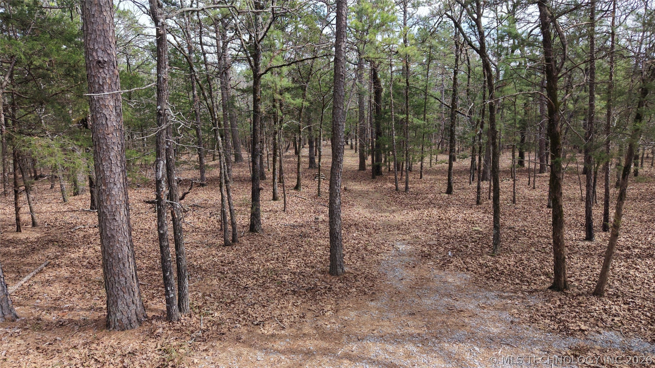 1083 Avenue Property Photo 3