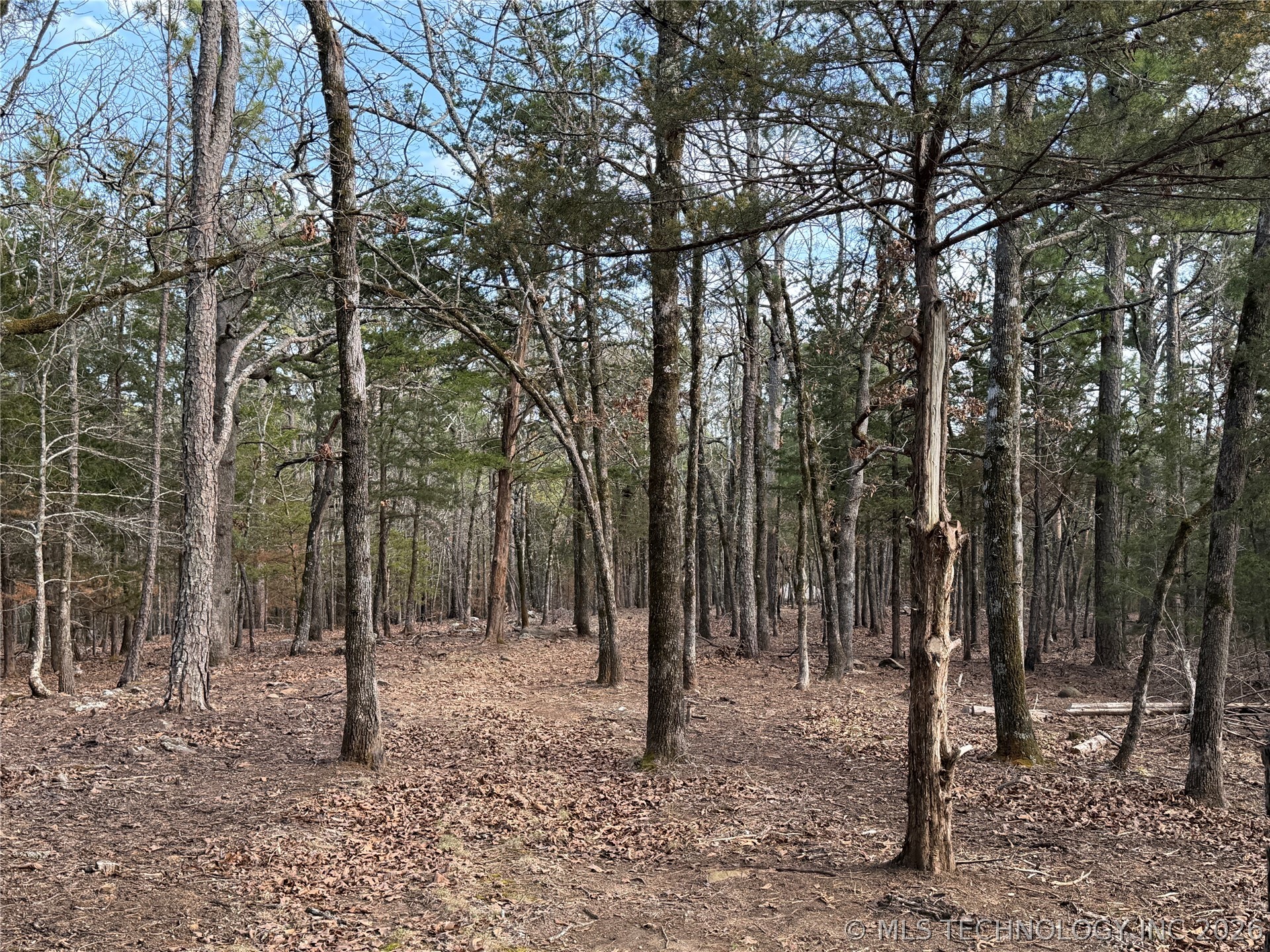 1083 Avenue Property Photo 22
