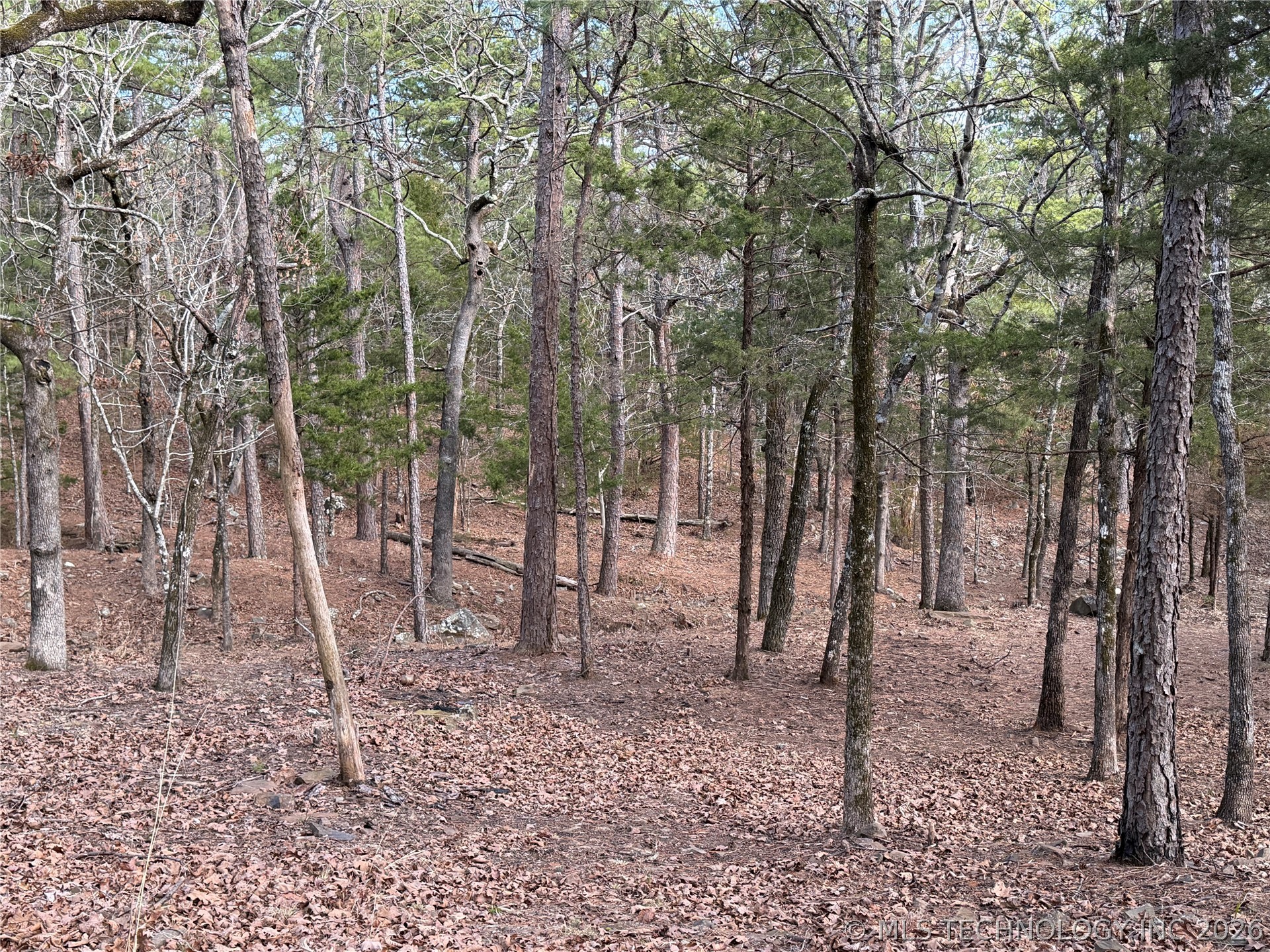 1083 Avenue Property Photo 25