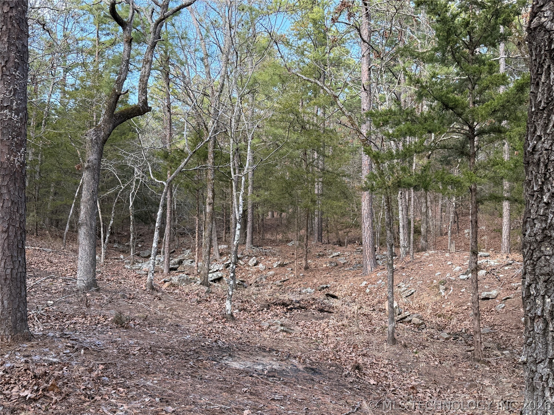 1083 Avenue Property Photo 39