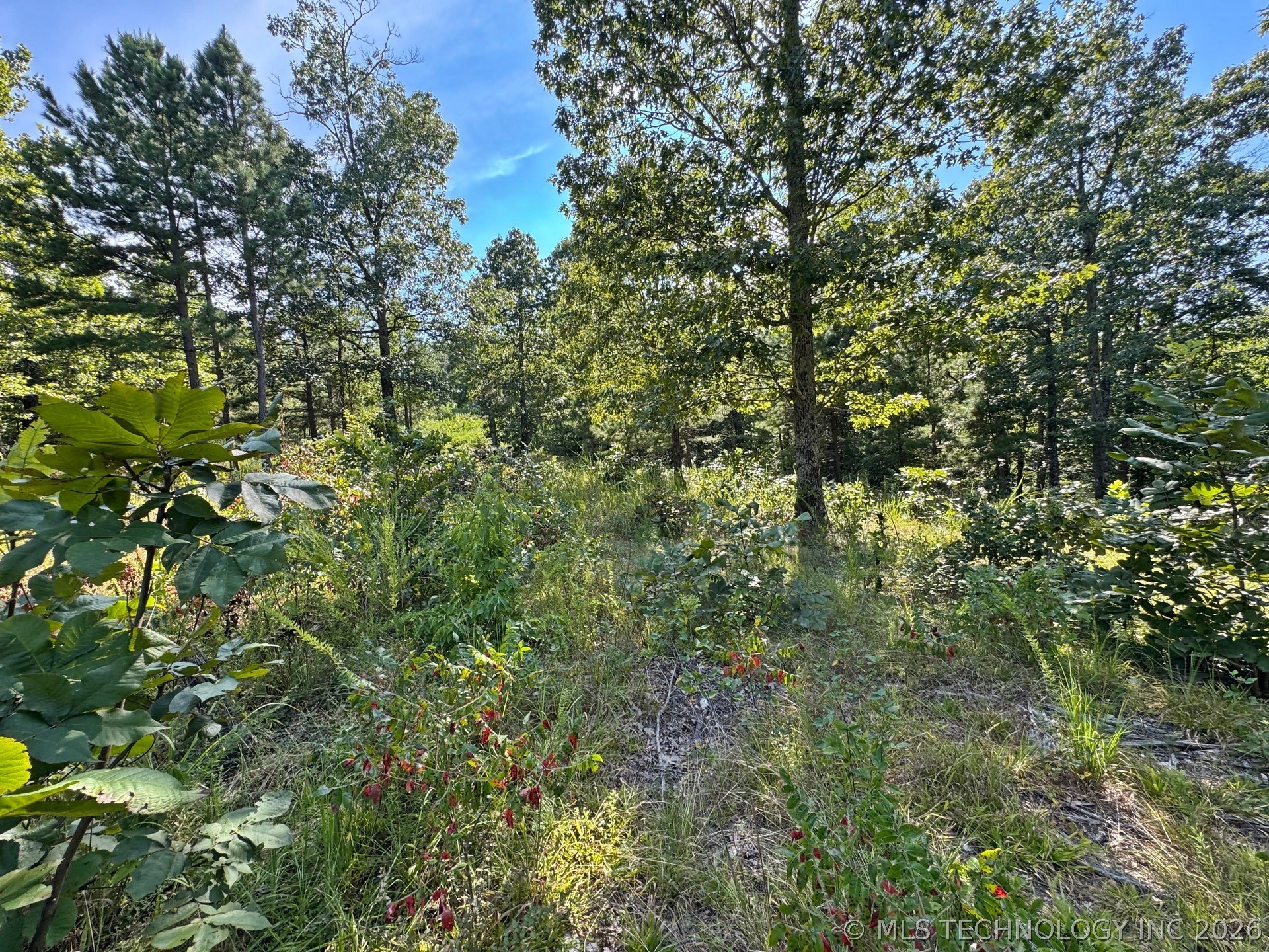13725 N 527 Road Property Photo 73